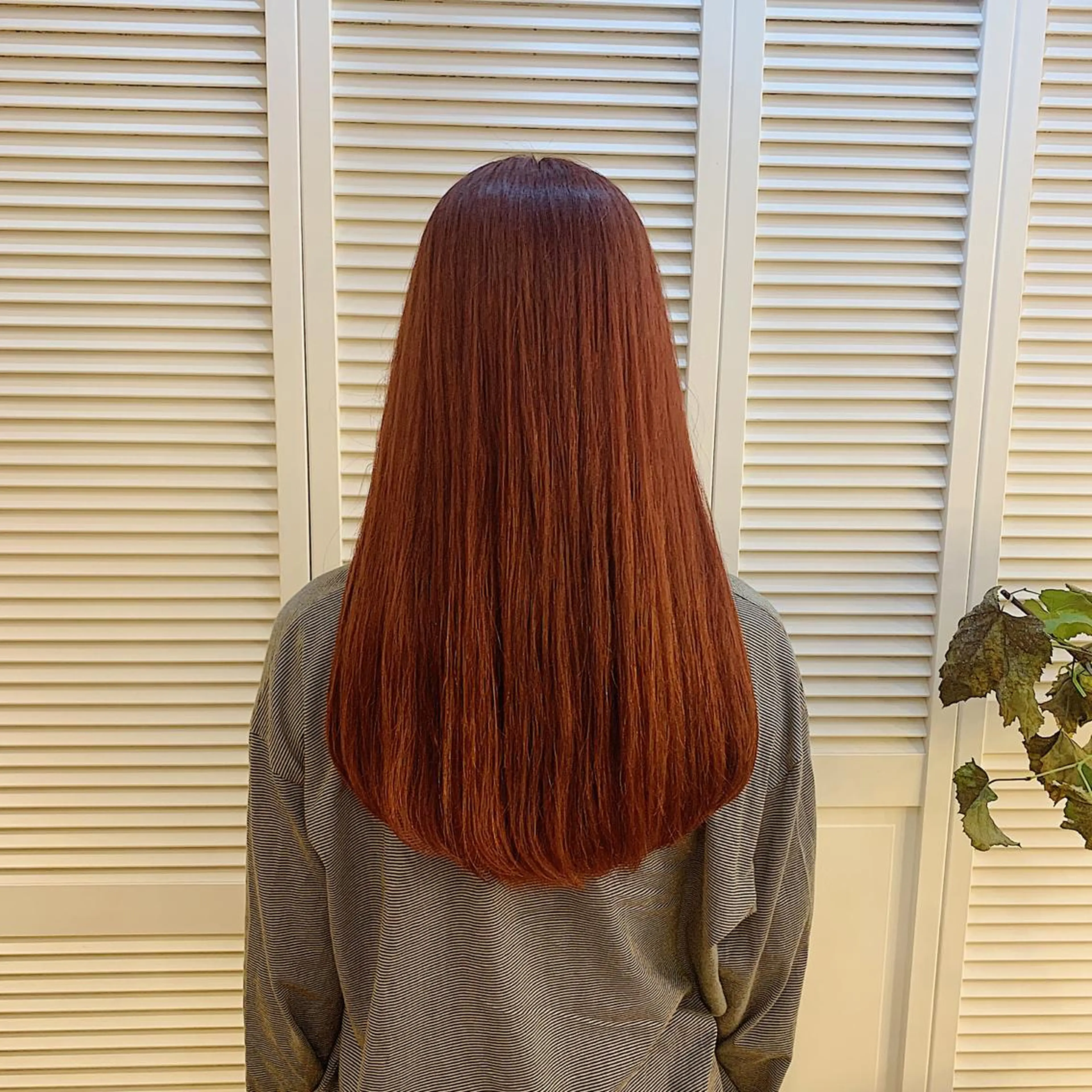 ロング カラー GO TODAY SHAiRE SALON 町田店所属・🫧大森 知夏🫧のヘアスタイル