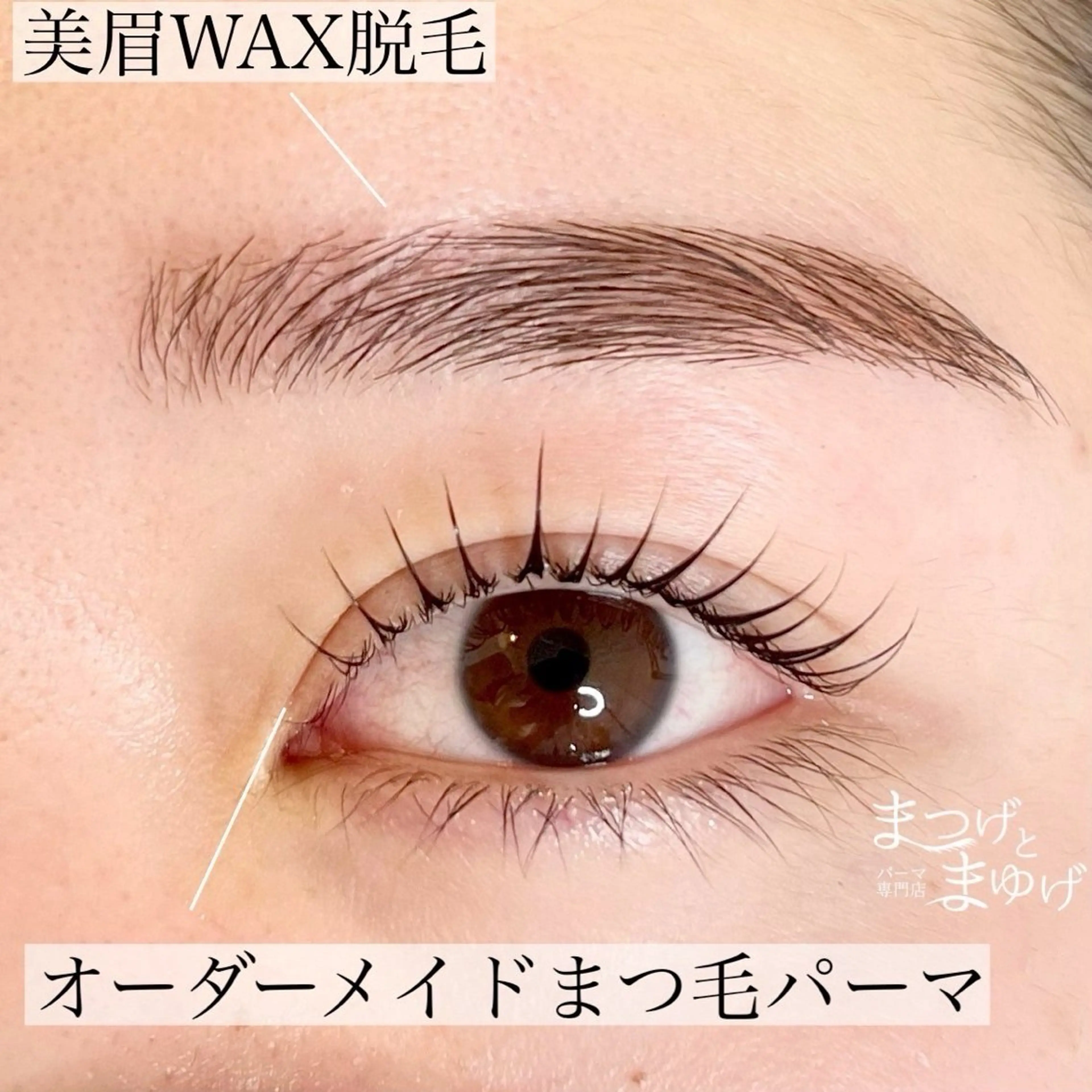 【まつ毛パーマ×美眉WAX脱毛×眉color】の写真