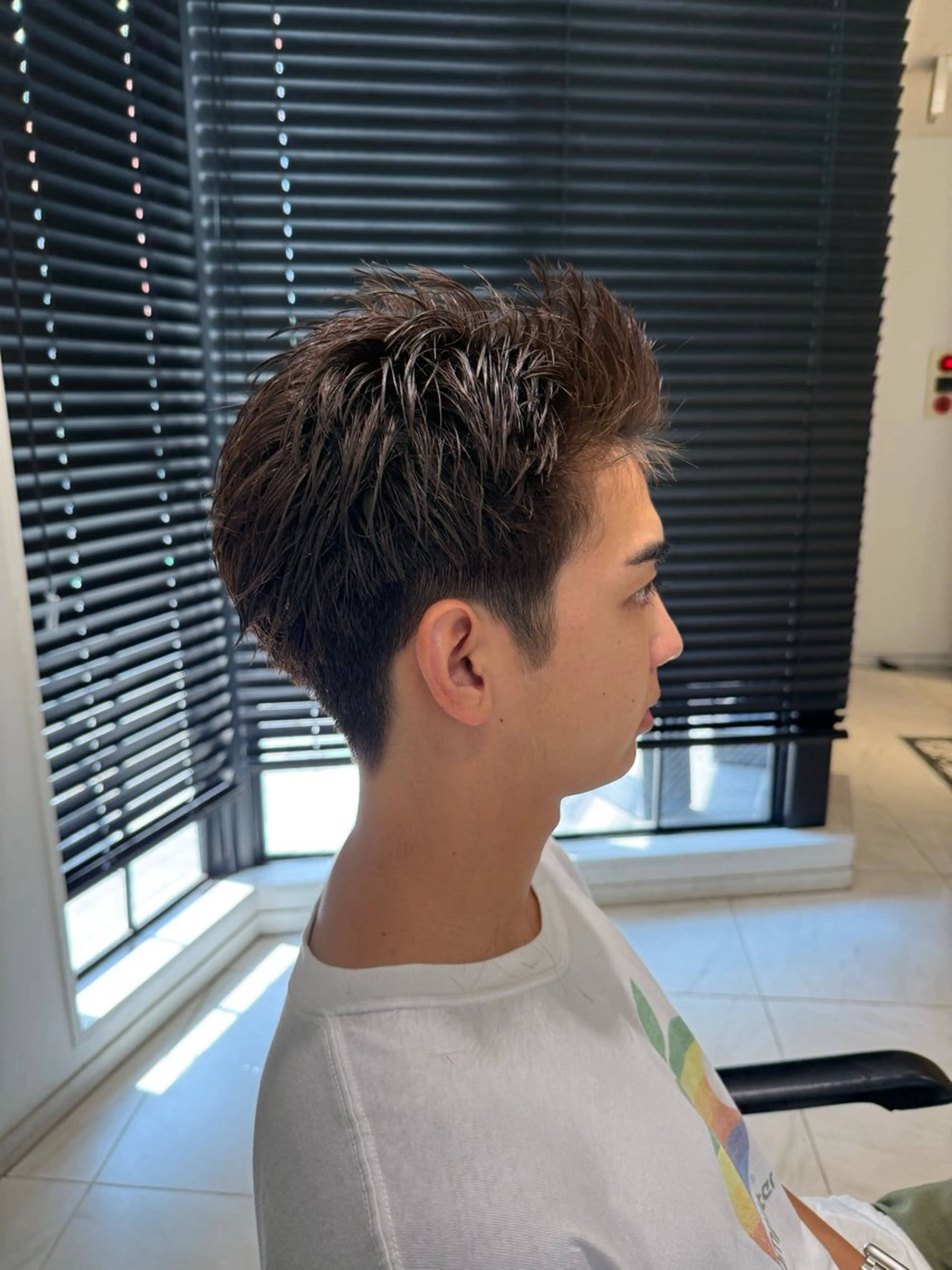 ショート メンズ カット 艶カラー/縮毛矯正 🫧terukaのヘアスタイル