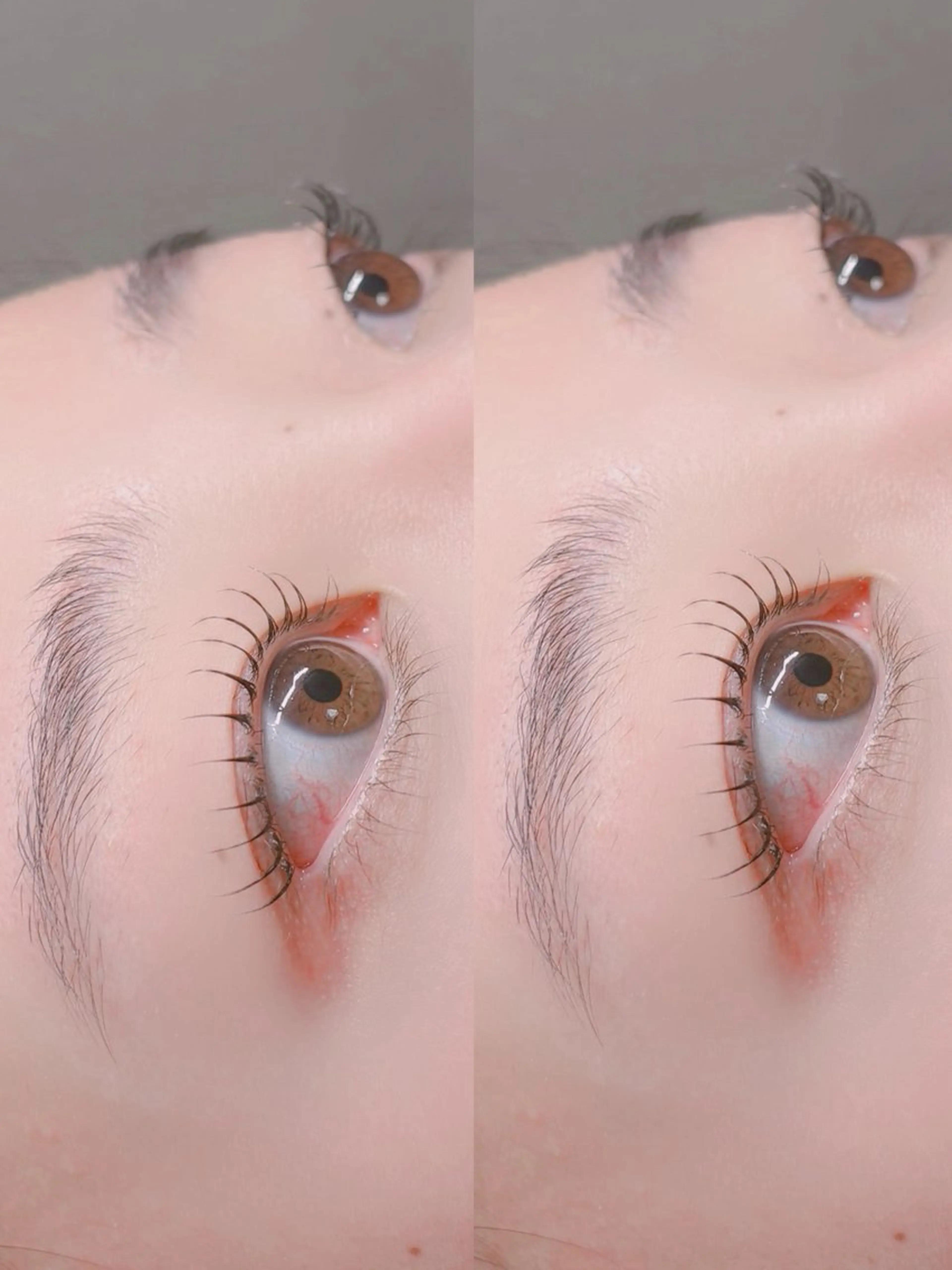 マツエク・マツパ マツパ Lｏｌｉ. ロリのマツエク・マツパデザイン