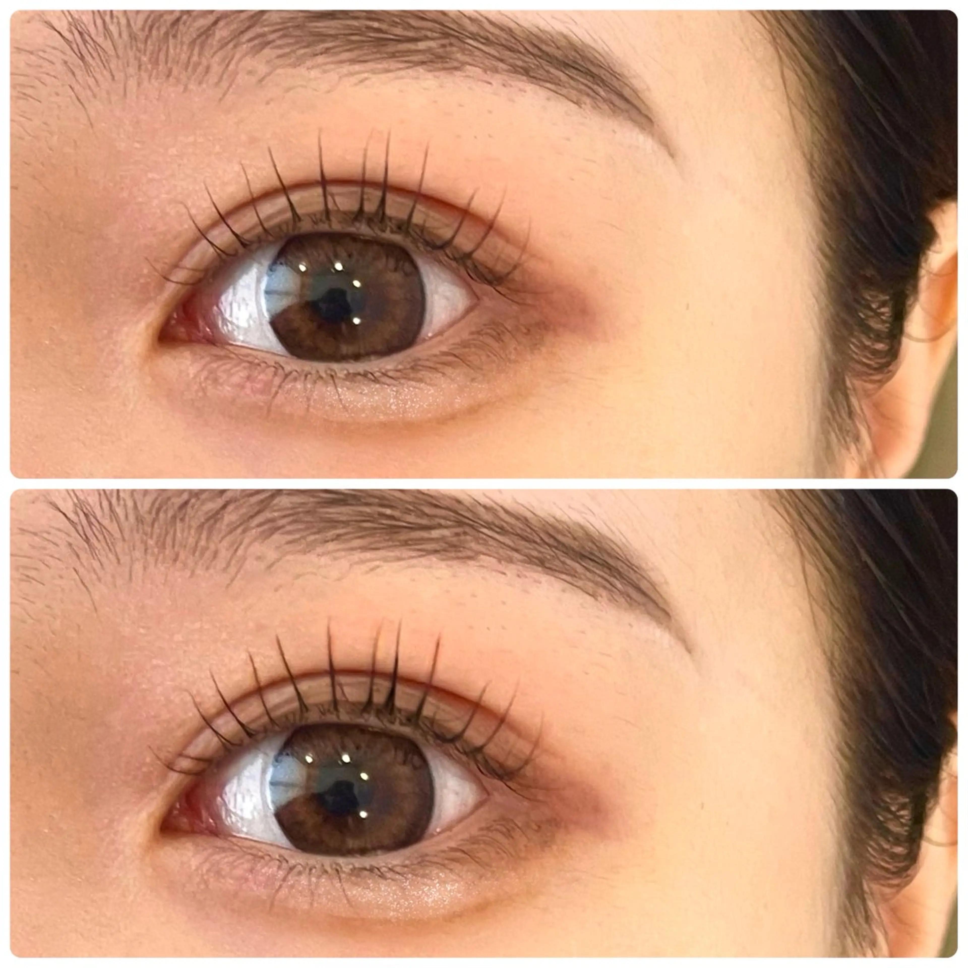 マツエク・マツパ 🌸shuka🌸新 宿/coloristのヘアスタイル