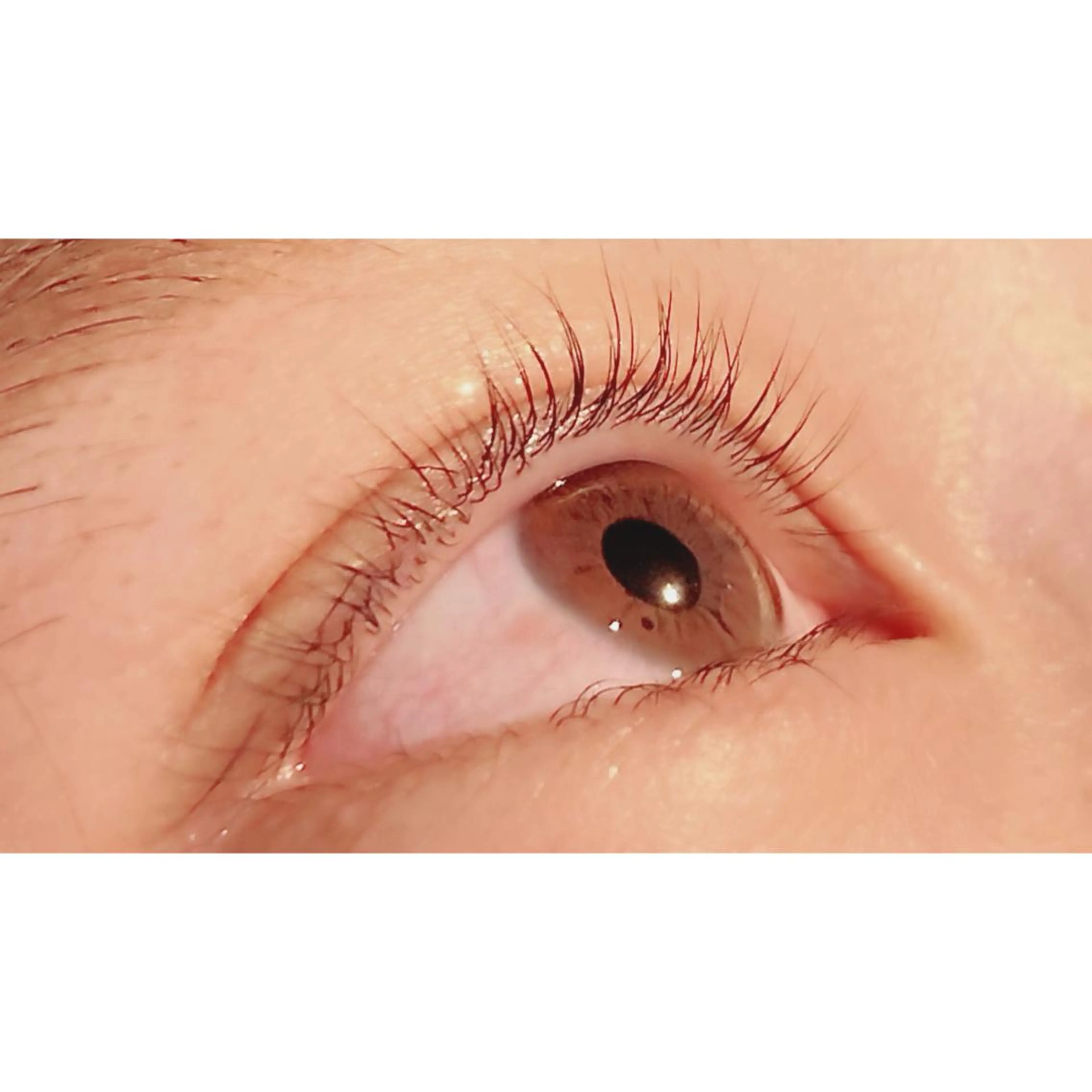 マツエク・マツパ パリジェンヌラッシュリフト Bianca 長津田店　長牛のマツエク・マツパデザイン