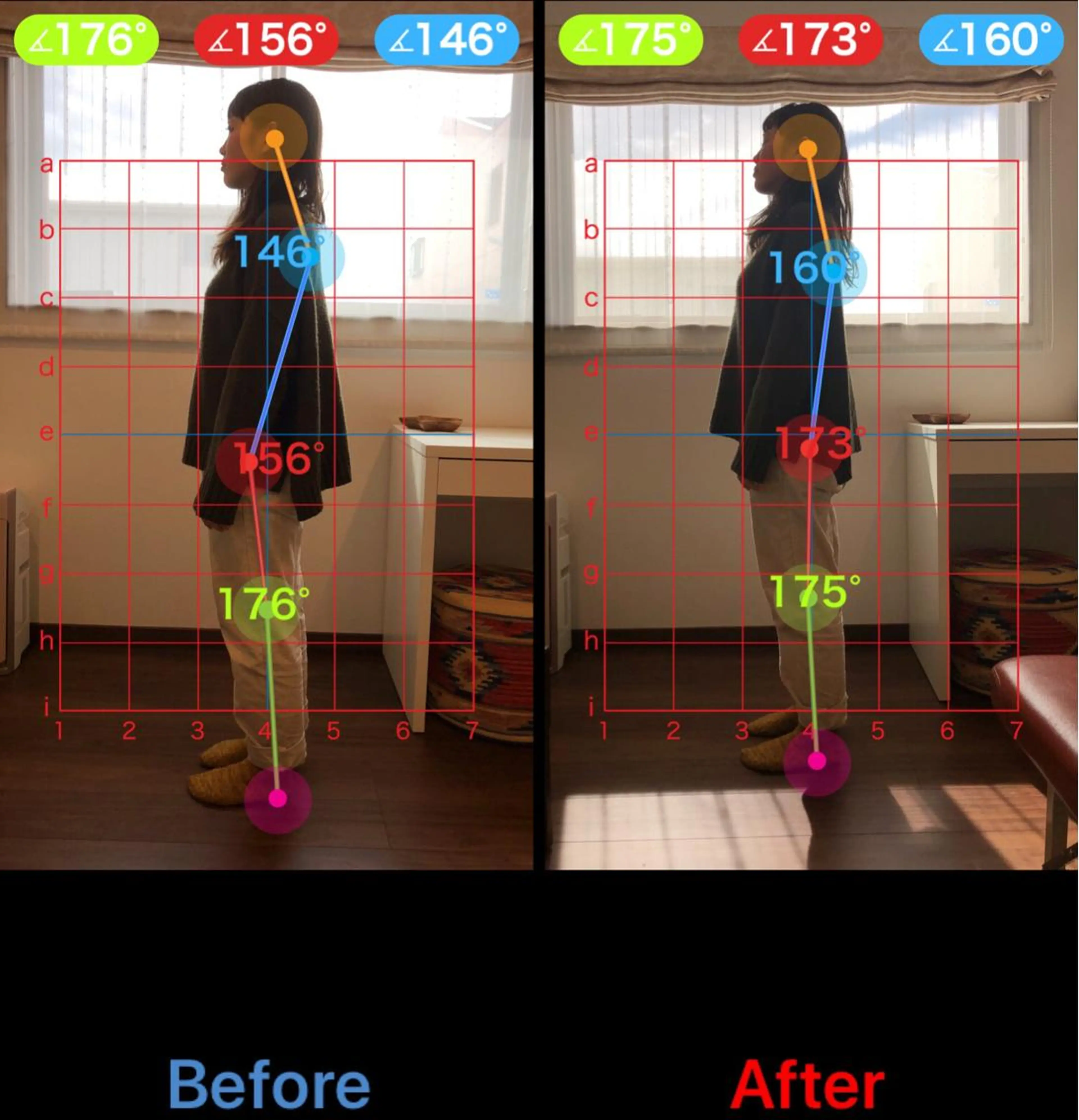 全身カイロプラクティックの写真