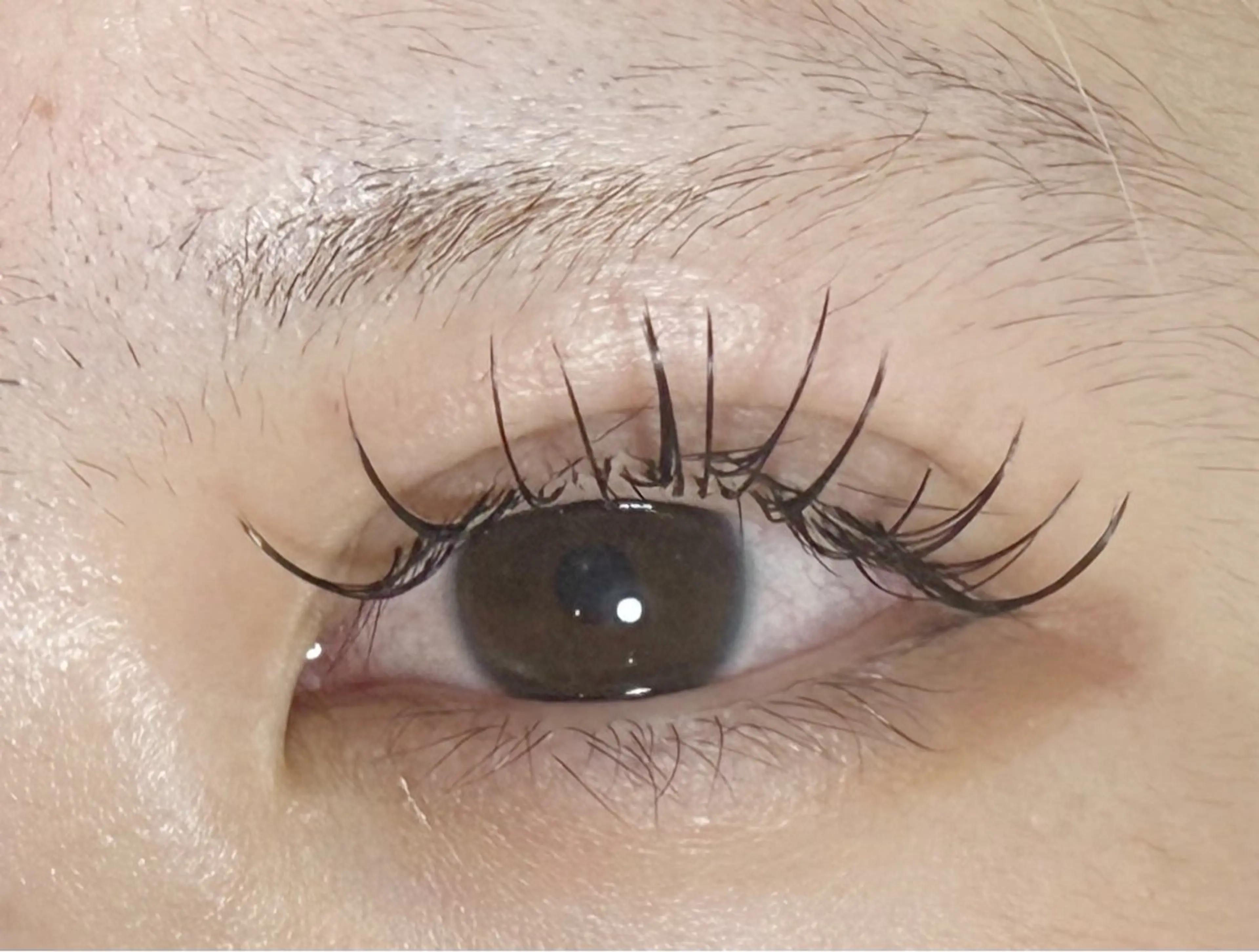 マツエク・マツパ ◝✩ ᖇIᒍYᑌのその他イメージ