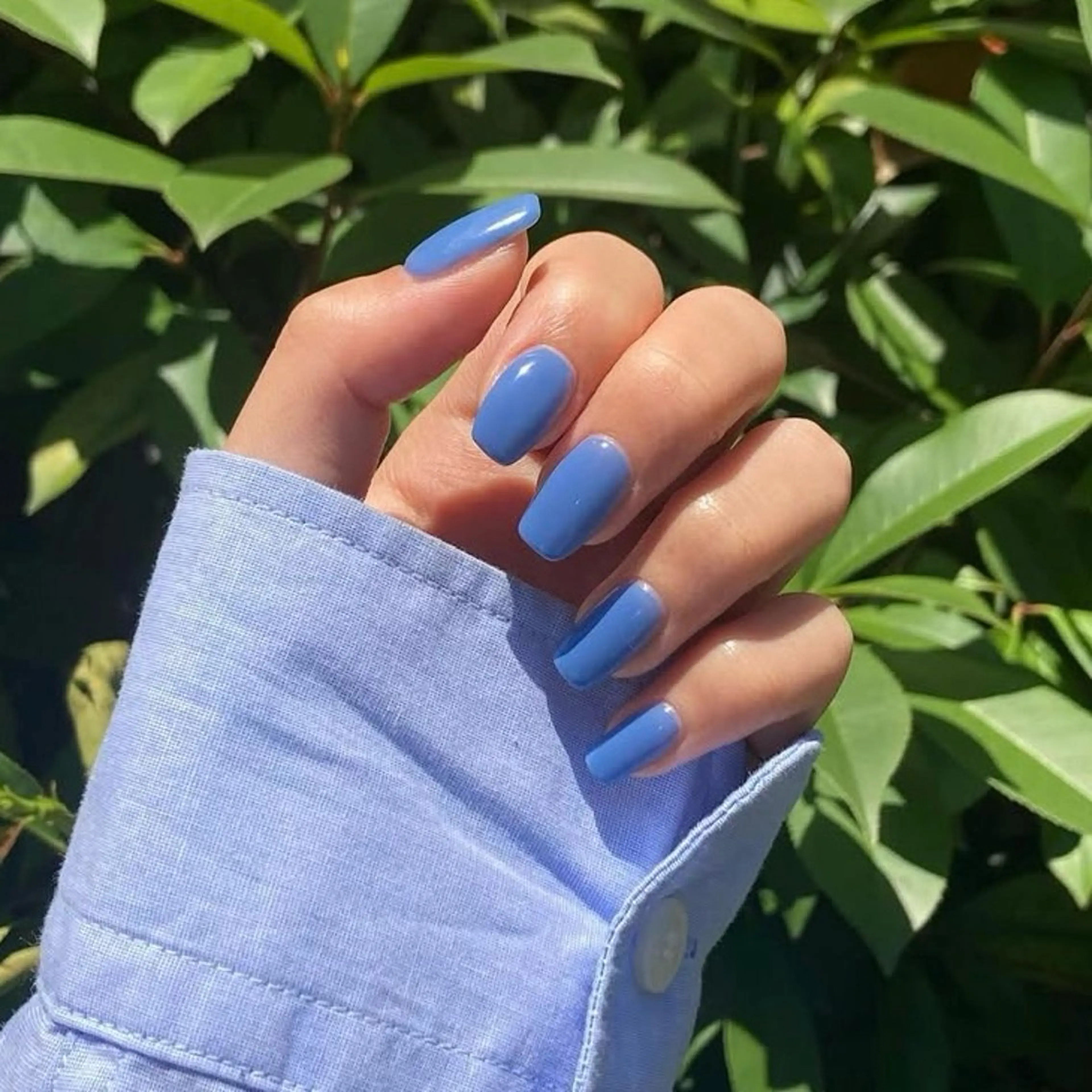 【ワンカラー🩵💙】★限定価格★の写真