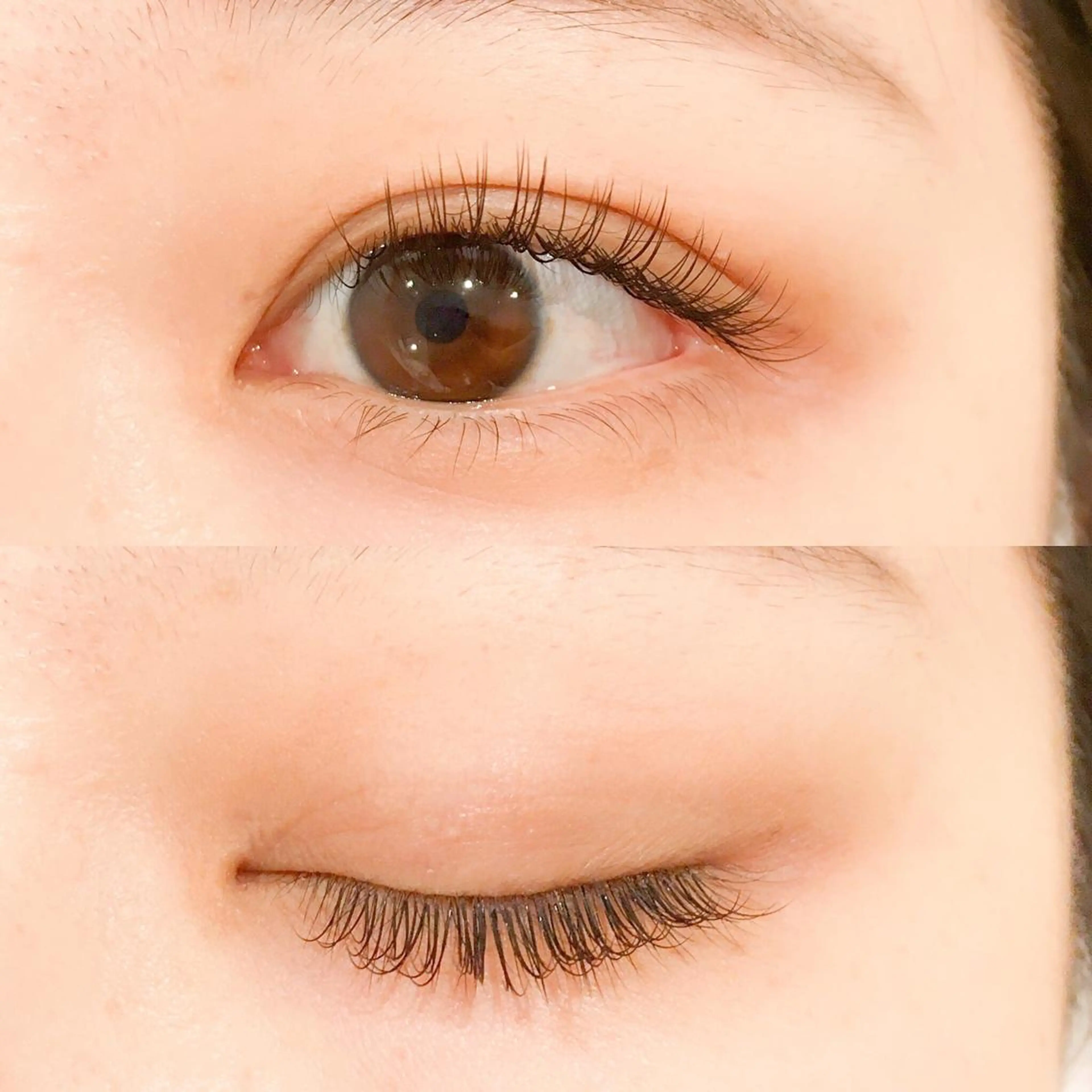 マツエク・マツパ ブラウンラッシュ Cカール カラーマツエク レイフィールド北名古屋所属・レイフィールド 服部のマツエク・マツパデザイン