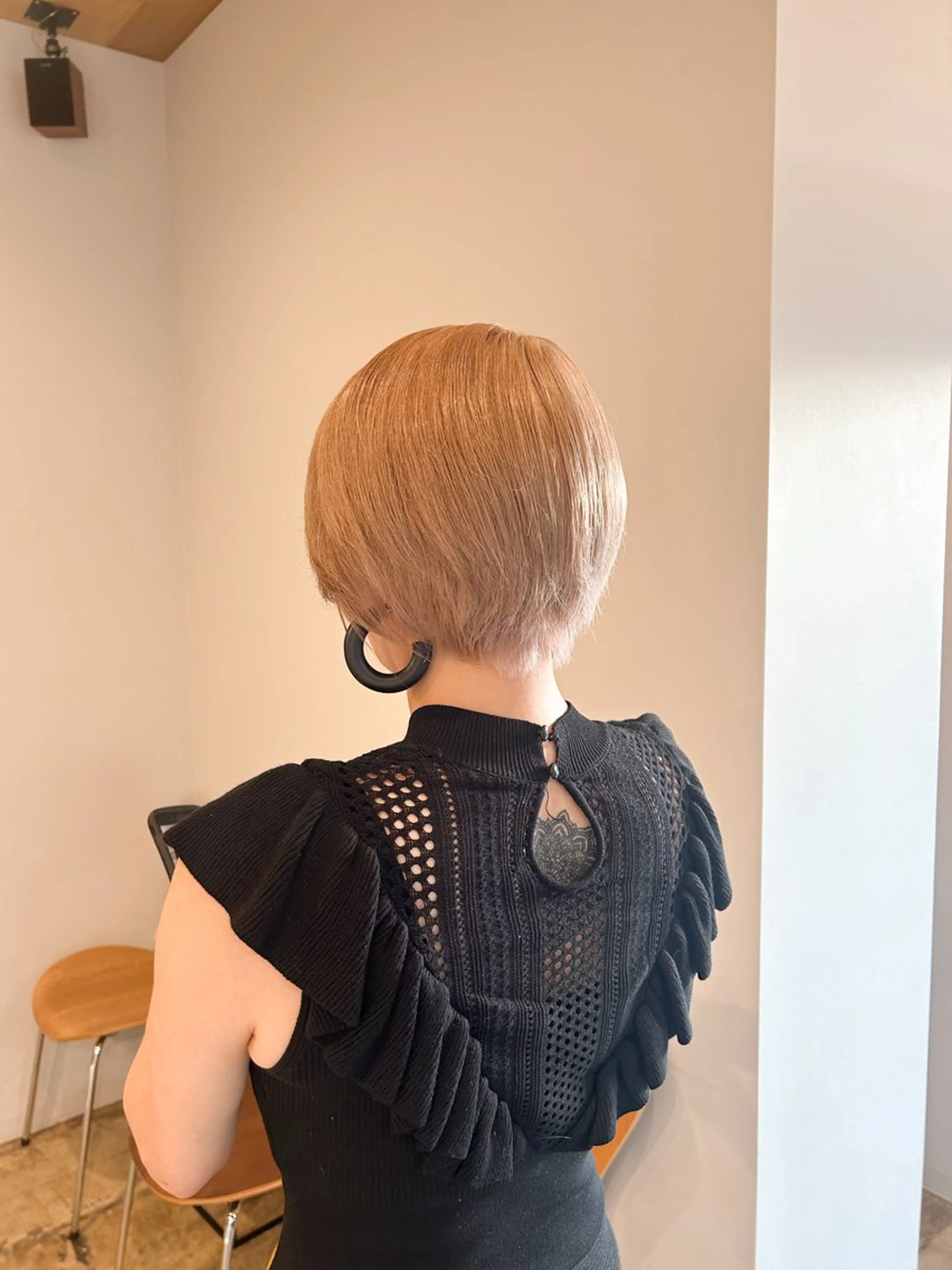 ダブルカラー(medium)🦖の写真