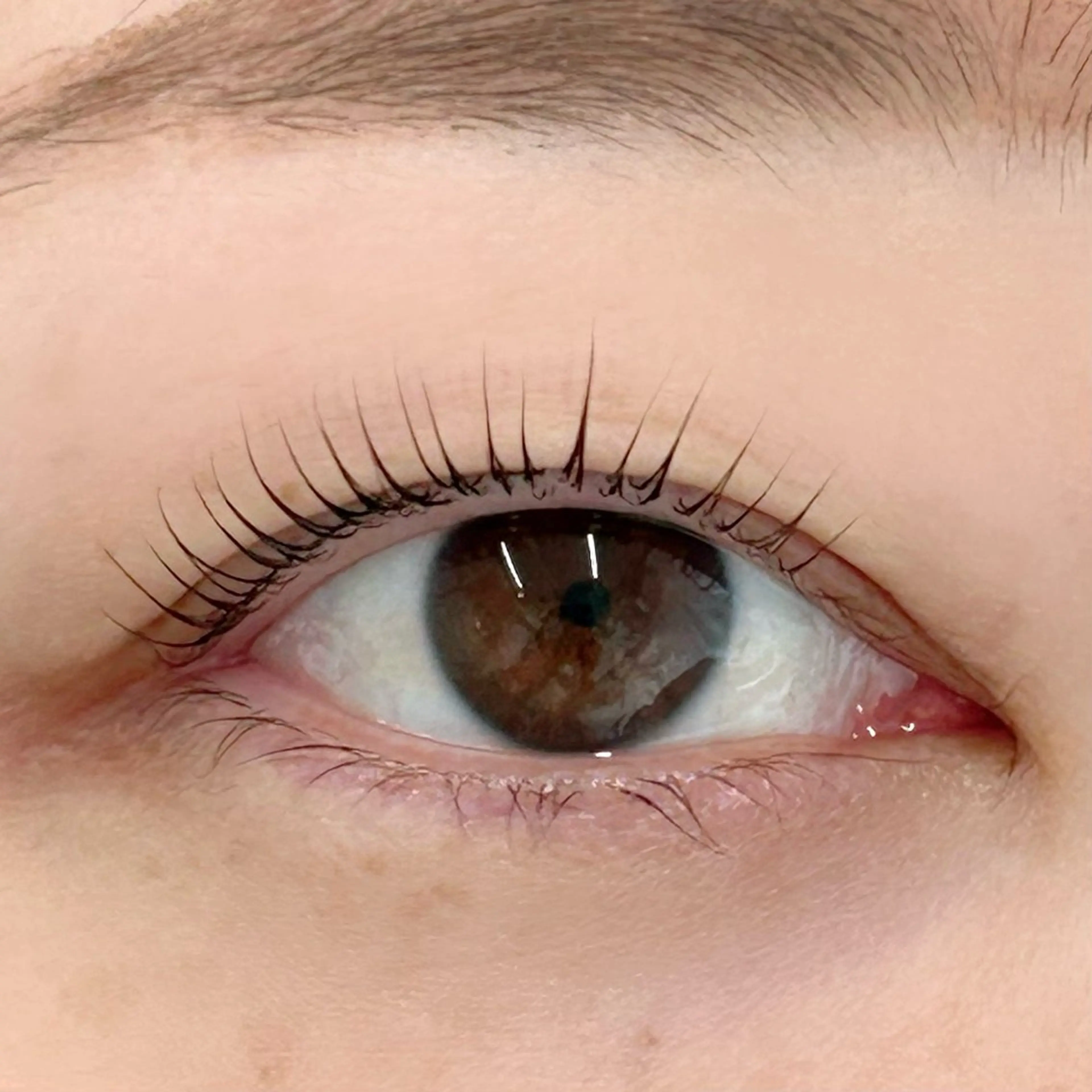 マツエク・マツパ 一重×まつ毛パーマ マツパ BellFlower Aki（眉・まつげ）のマツエク・マツパデザイン