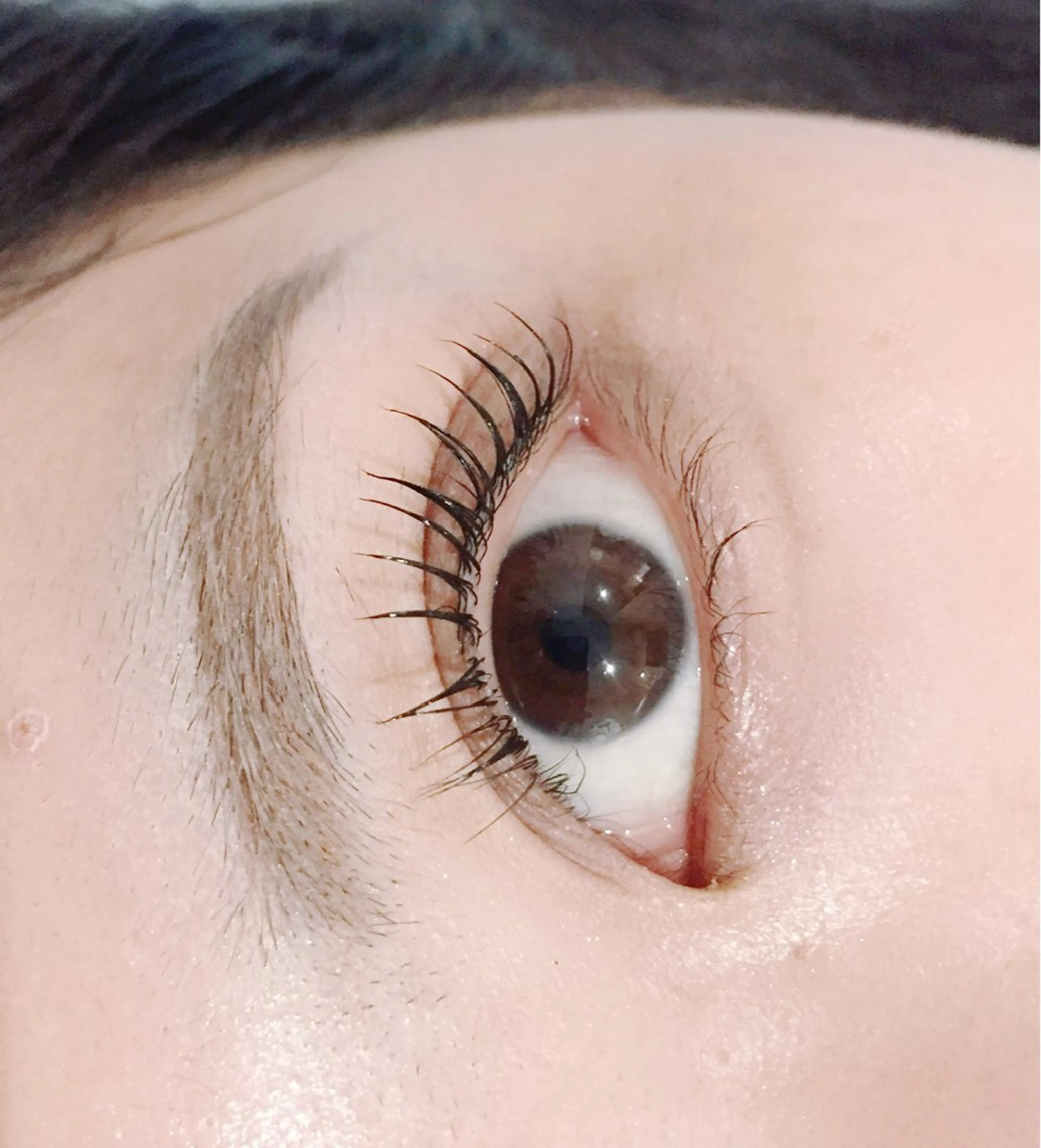 2900ラッシュリフト、まつ毛パーマの写真