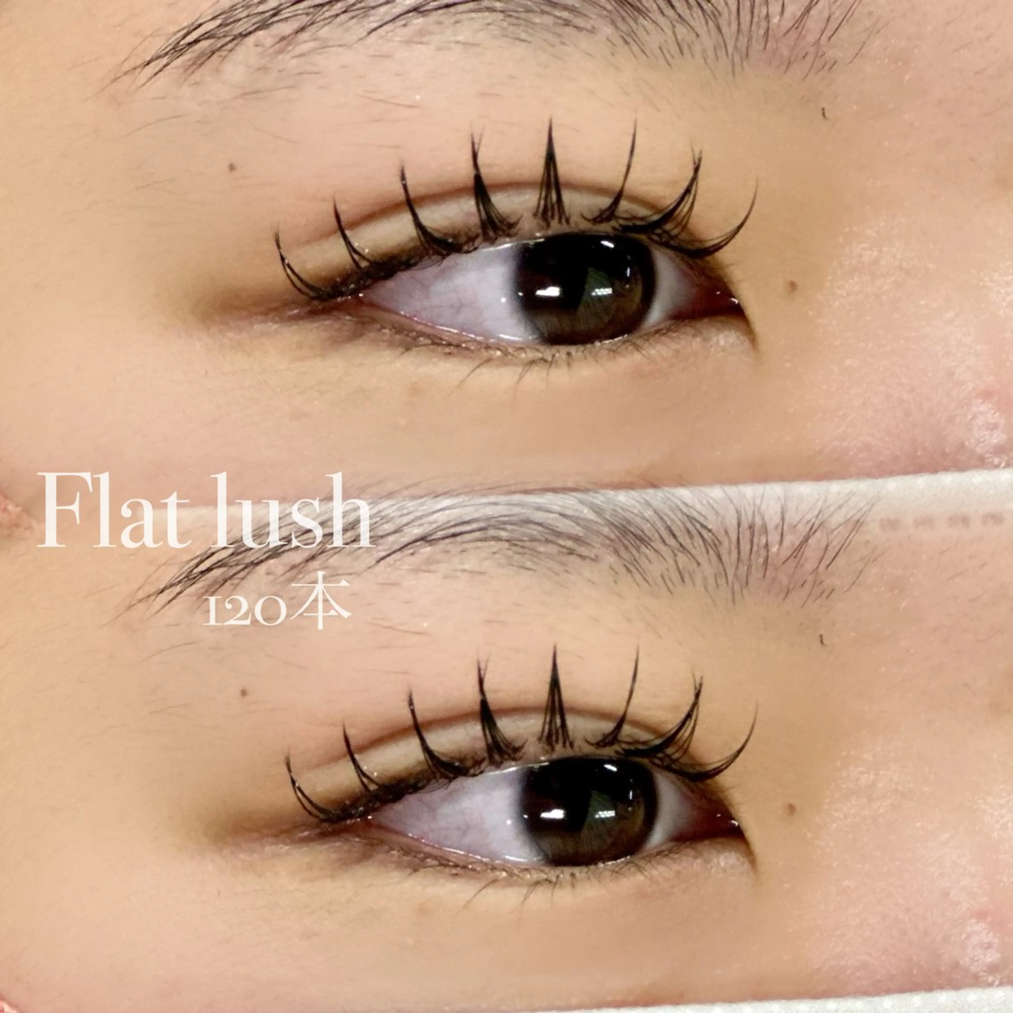 フラットラッシュ　１２０本 【¥5000】/１４０本【¥5500】の写真