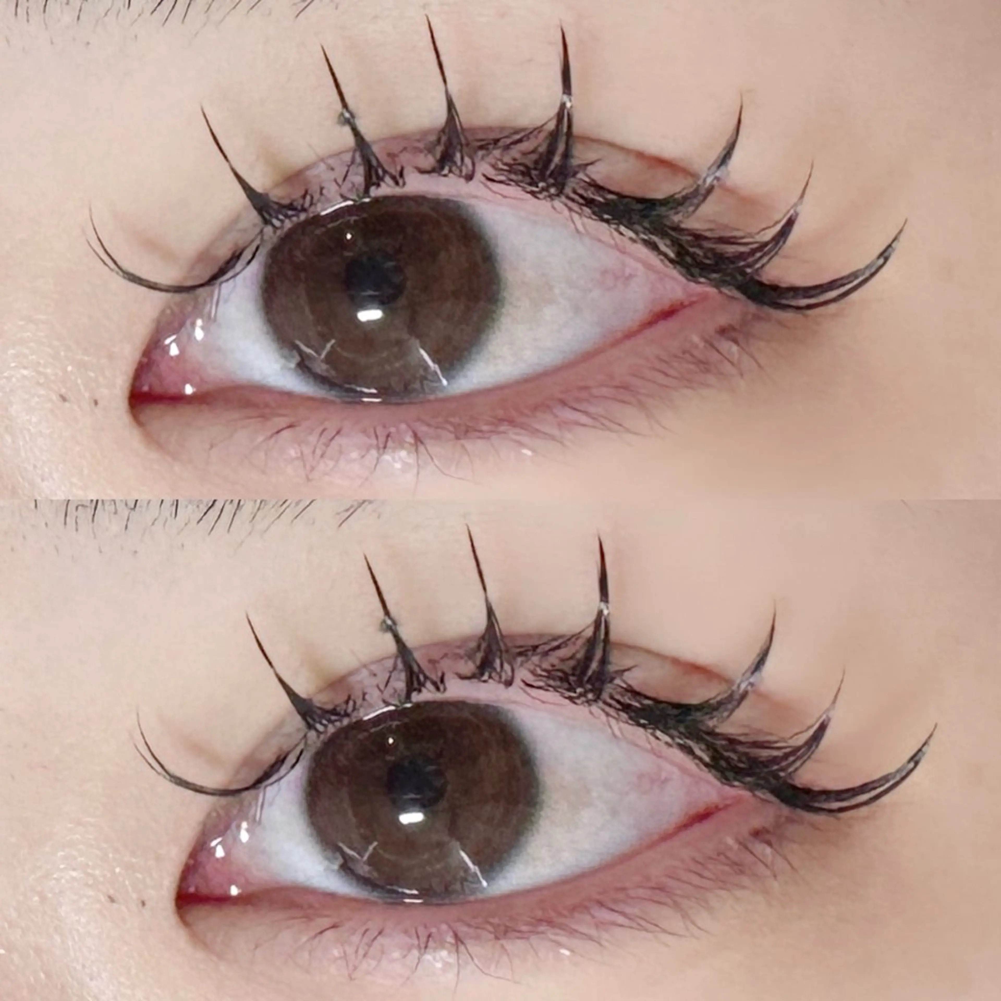 フラットラッシュ120本👀🫶の写真