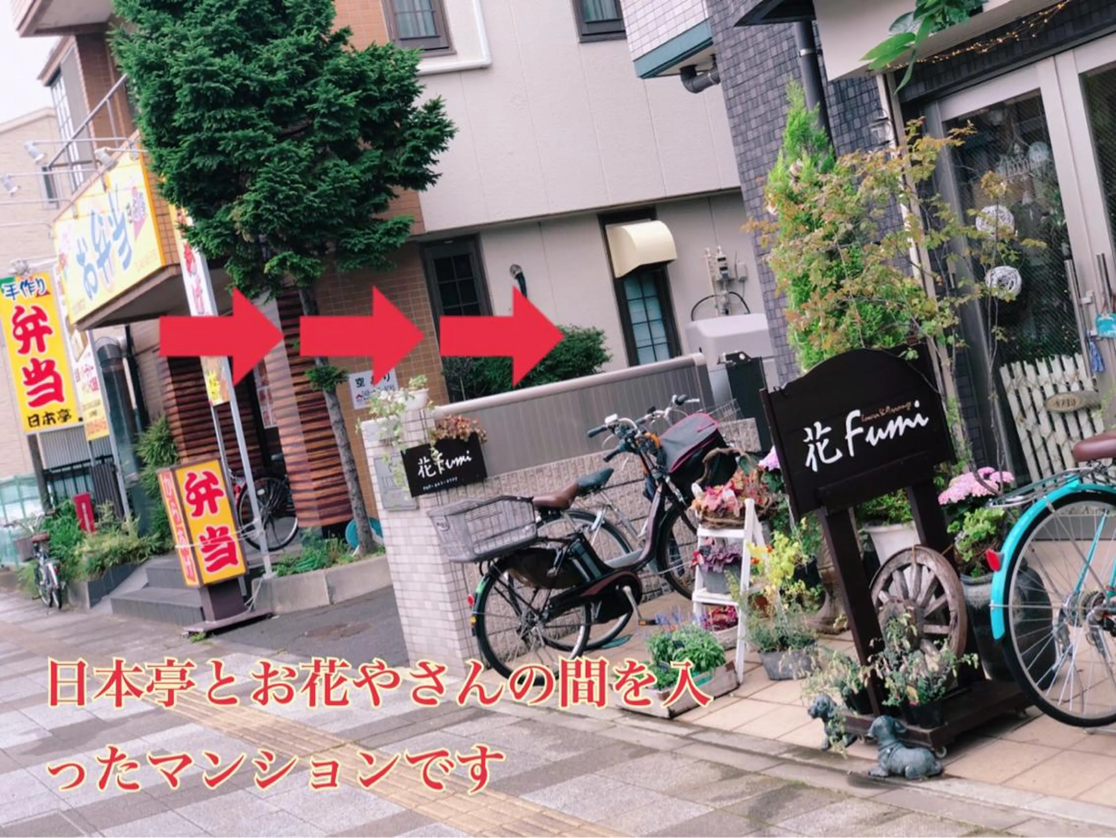 private salon  Dea_maris シュガーリング＆パーソナルボディケア所属・痩せない人の最後の砦 3ヶ月10キロ痩せのエステ・リラクイメージ