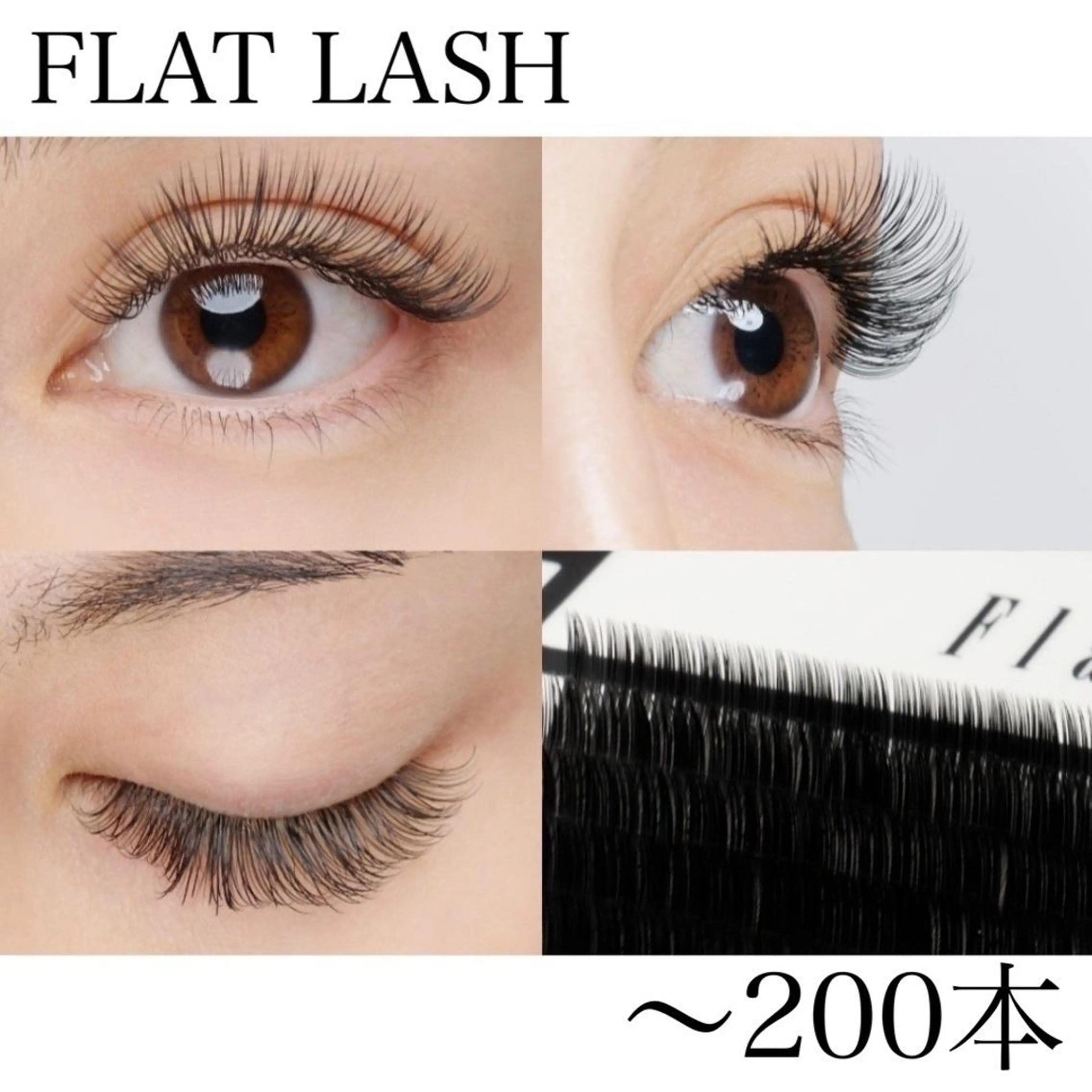 ご新規様】♡フラットラッシュ♡ 200本迄付け放題　オフ込7100円【平日限定6100円】の写真