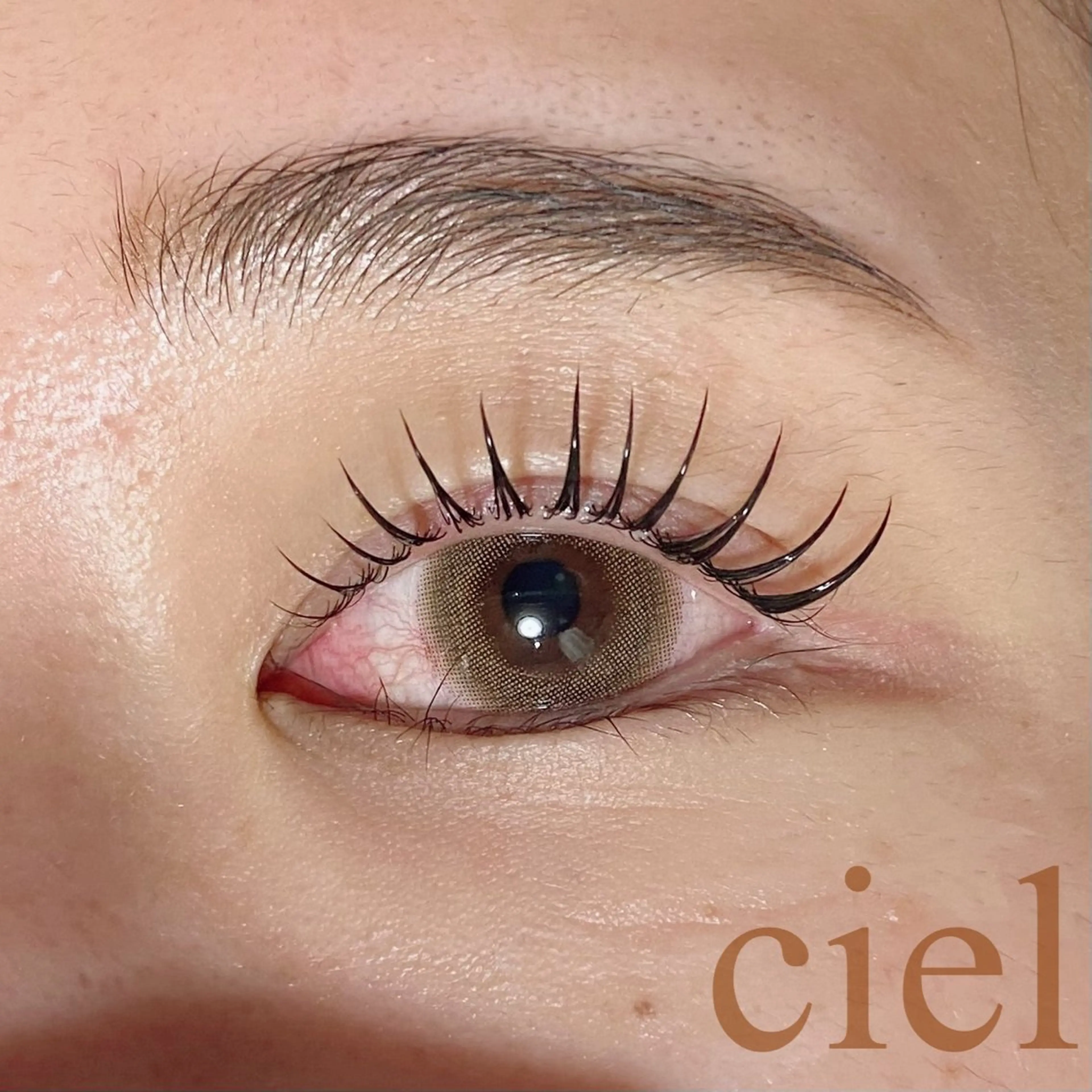 マツエク・マツパ 一重×まつ毛パーマ ciel 瑞江のマツエク・マツパデザイン