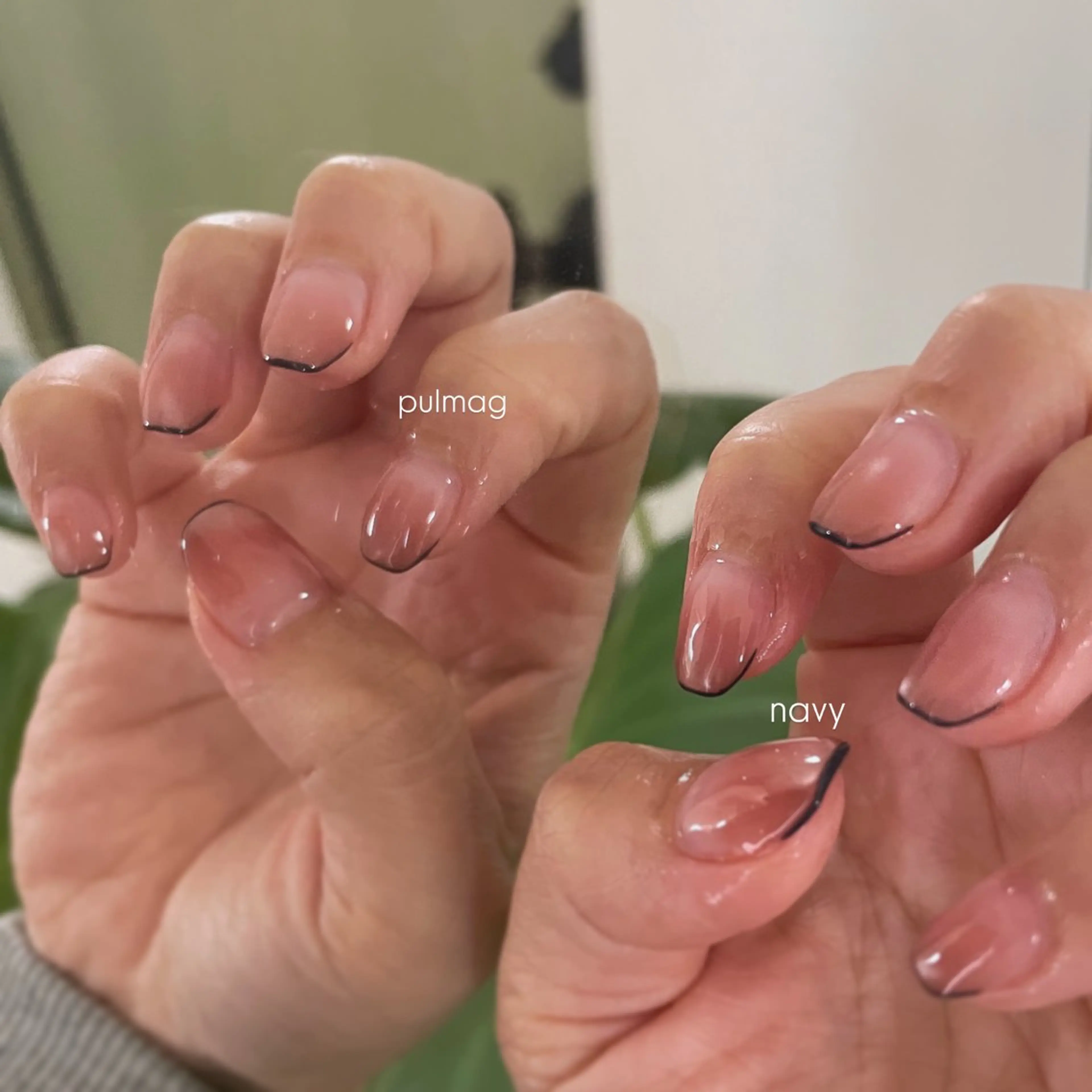 ネイル フレンチネイル グラデーション マグネットネイル ハンドネイル Agapi所属・Agapi💐 momokaのネイルデザイン