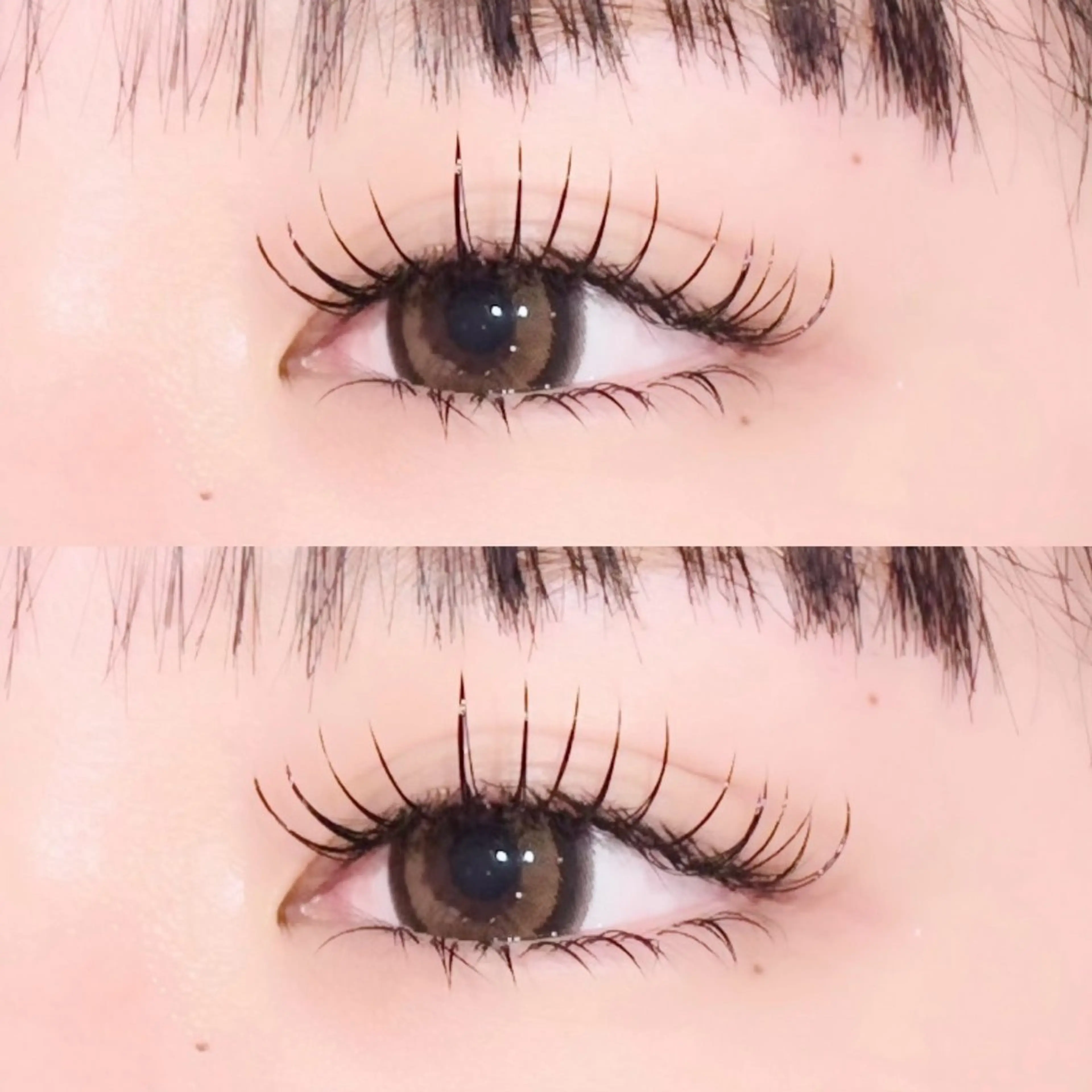 【🌷バインドロック60束➕下まつげ40本まで】の写真