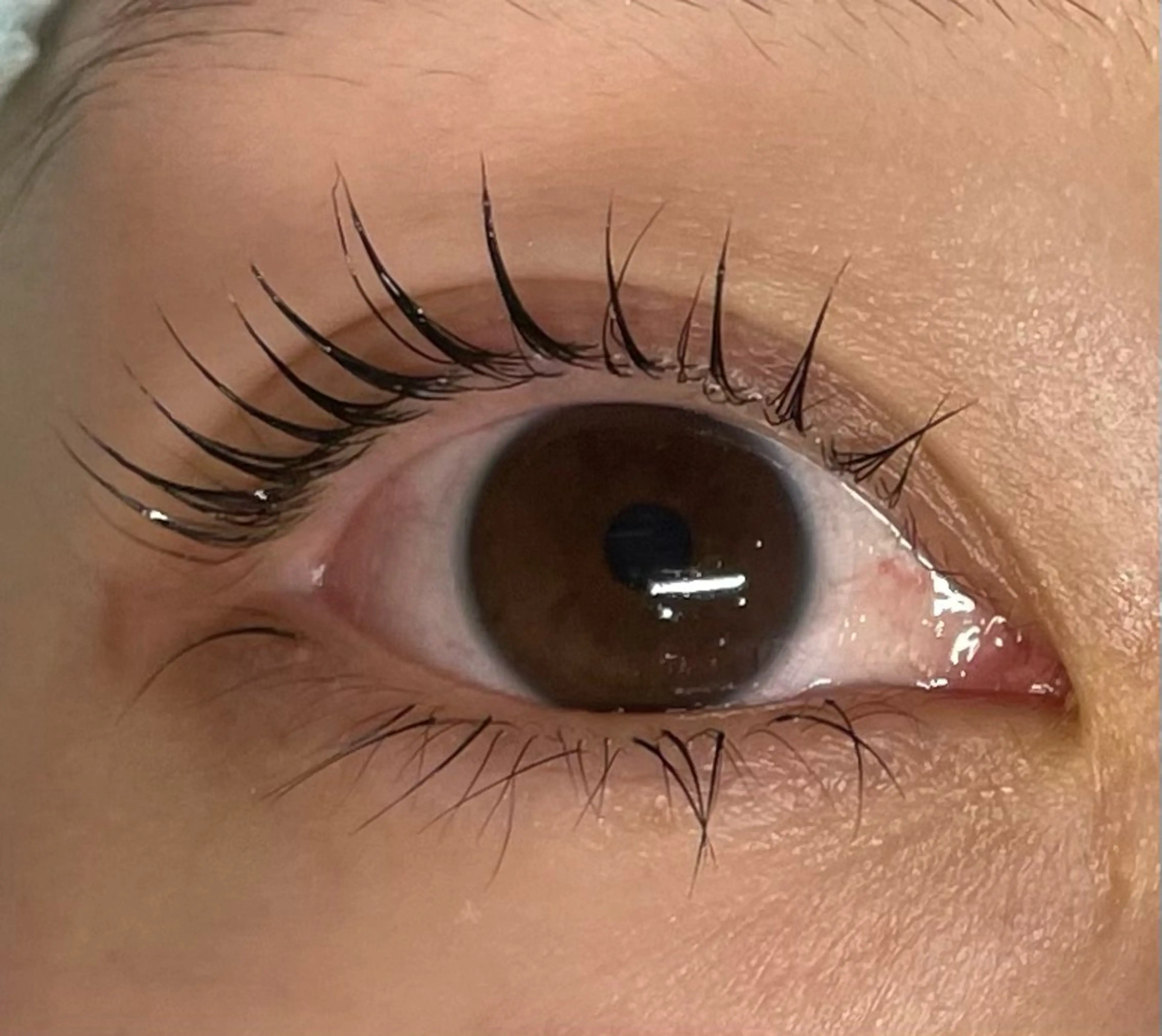 マツエク・マツパ Batik 五十嵐のマツエク・マツパデザイン