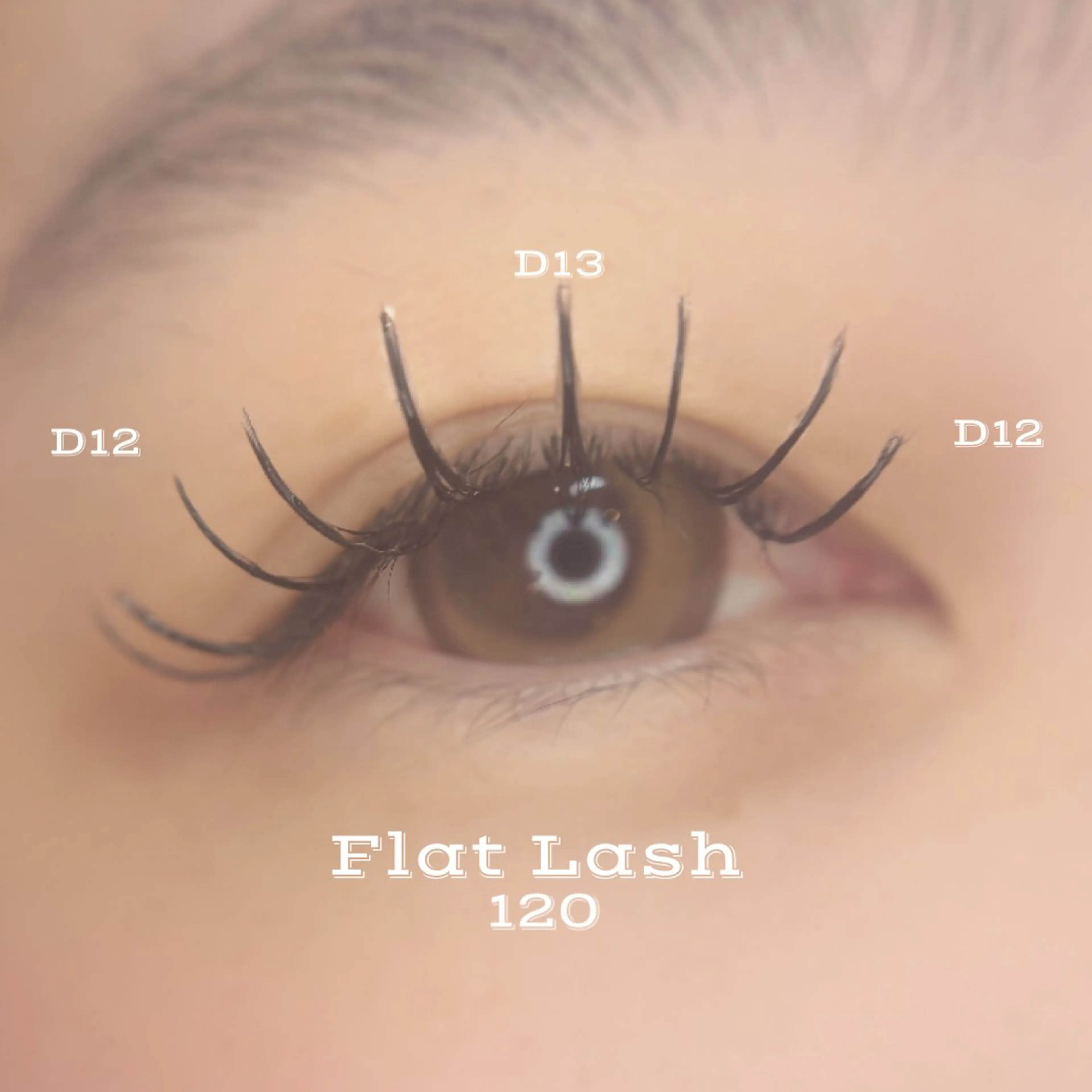 マツエク・マツパ Dカール フラットラッシュ 🎐MaaZlash FUKA🪷のマツエク・マツパデザイン