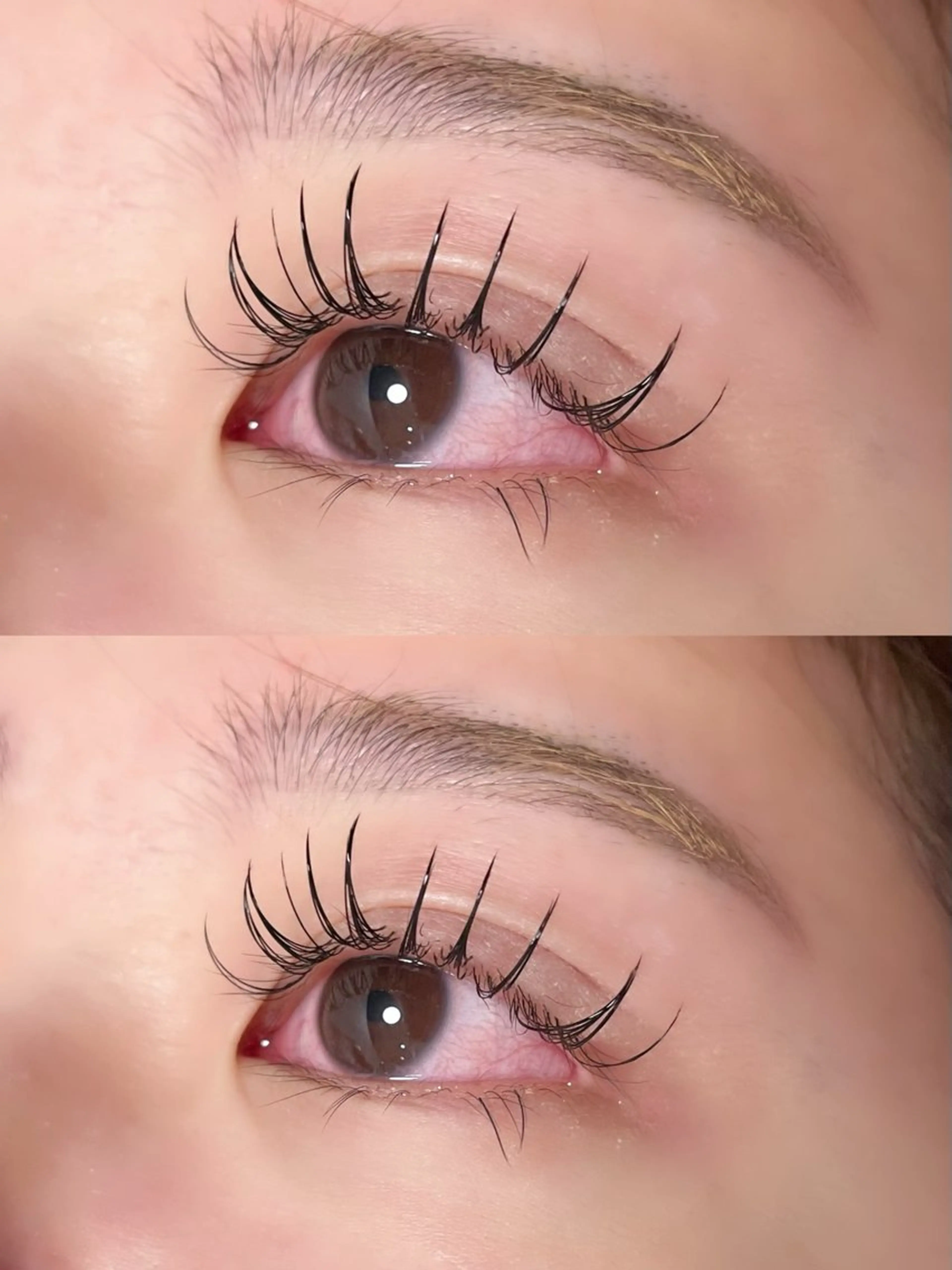 マツエク・マツパ Dカール ゴージャス マツエク Ayumi.dre 🌸Y《2階》のマツエク・マツパデザイン