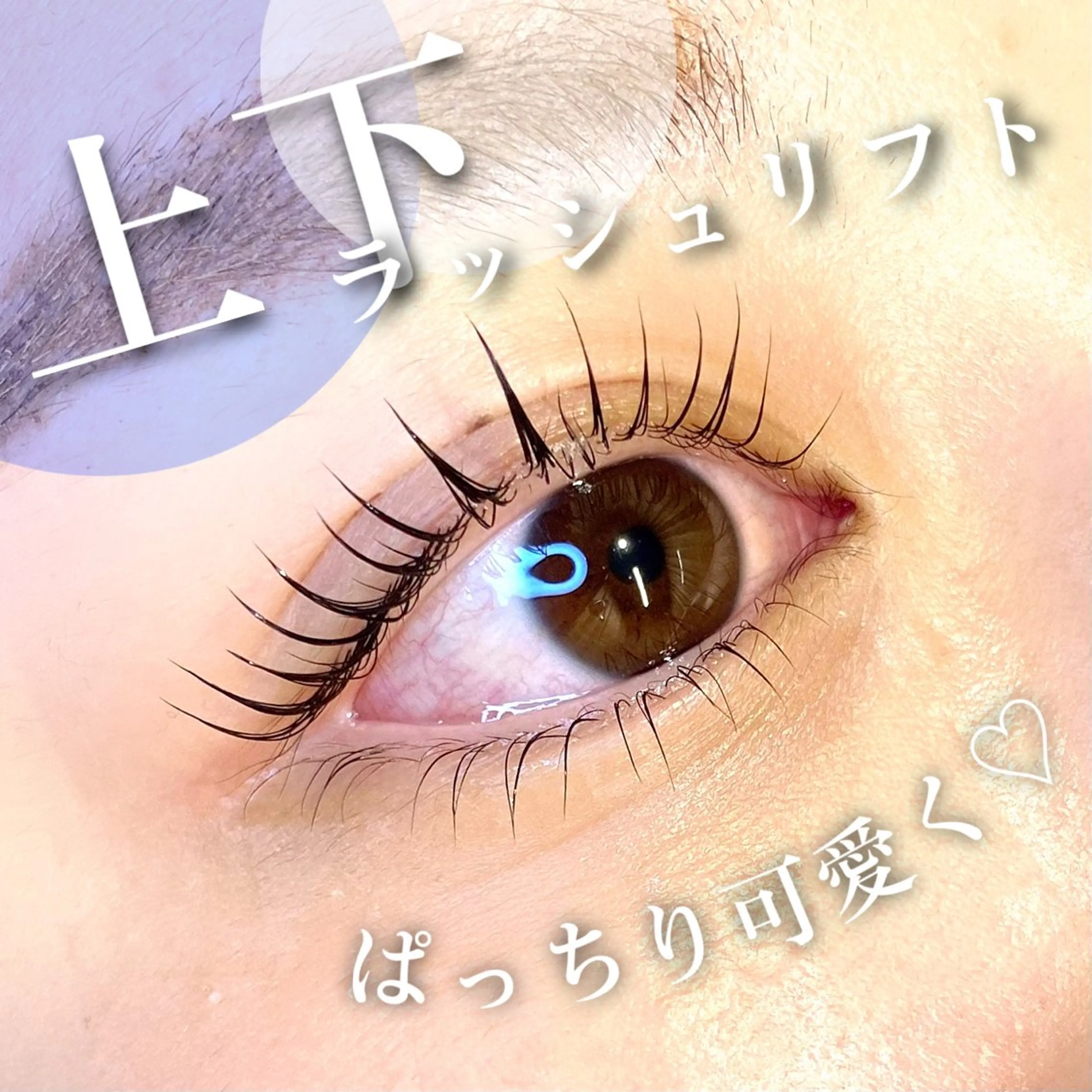 マツエク・マツパ パリジェンヌラッシュリフト マツパ 🦋eyelist 株　カブ🦋横浜のマツエク・マツパデザイン