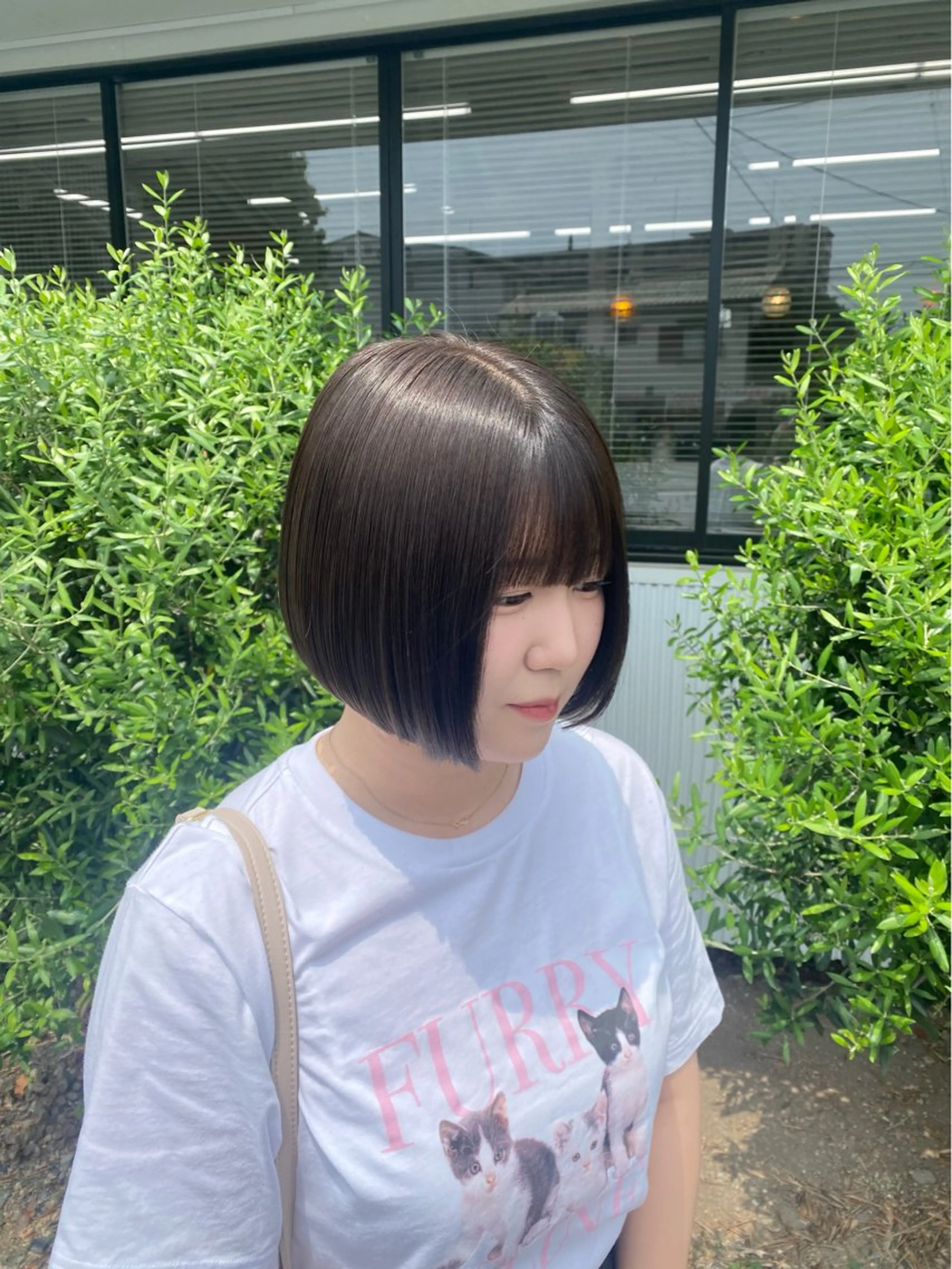 レディースカットの写真