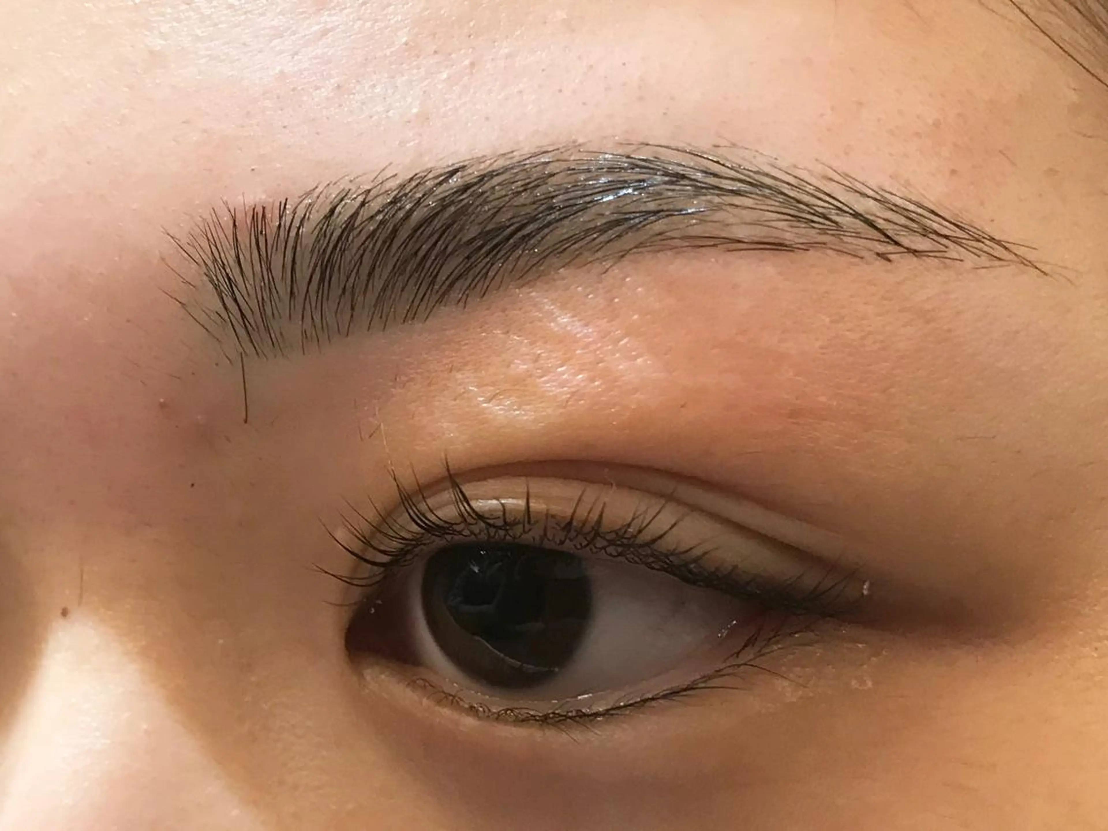 マツエク・マツパ ⭐️Eye＆Eyeblowsalon⭐️Dafne⭐️所属・Dafne SAIのマツエク・マツパデザイン