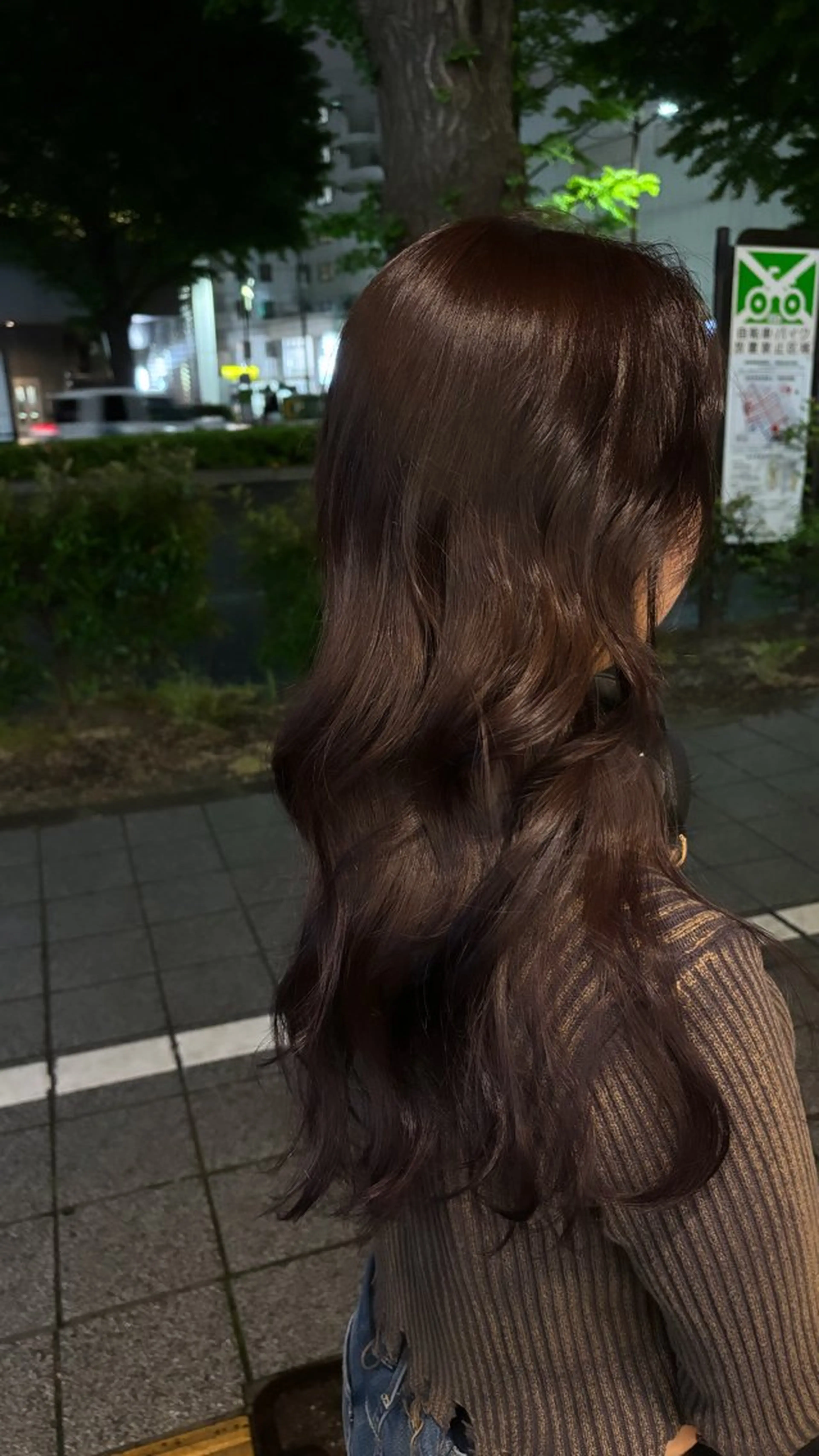 ロング パープルカラー 韓国風ヘア レイヤーカット ヘアカラー 🍓ハイトーンカラー 🎀nene🍓のヘアスタイル