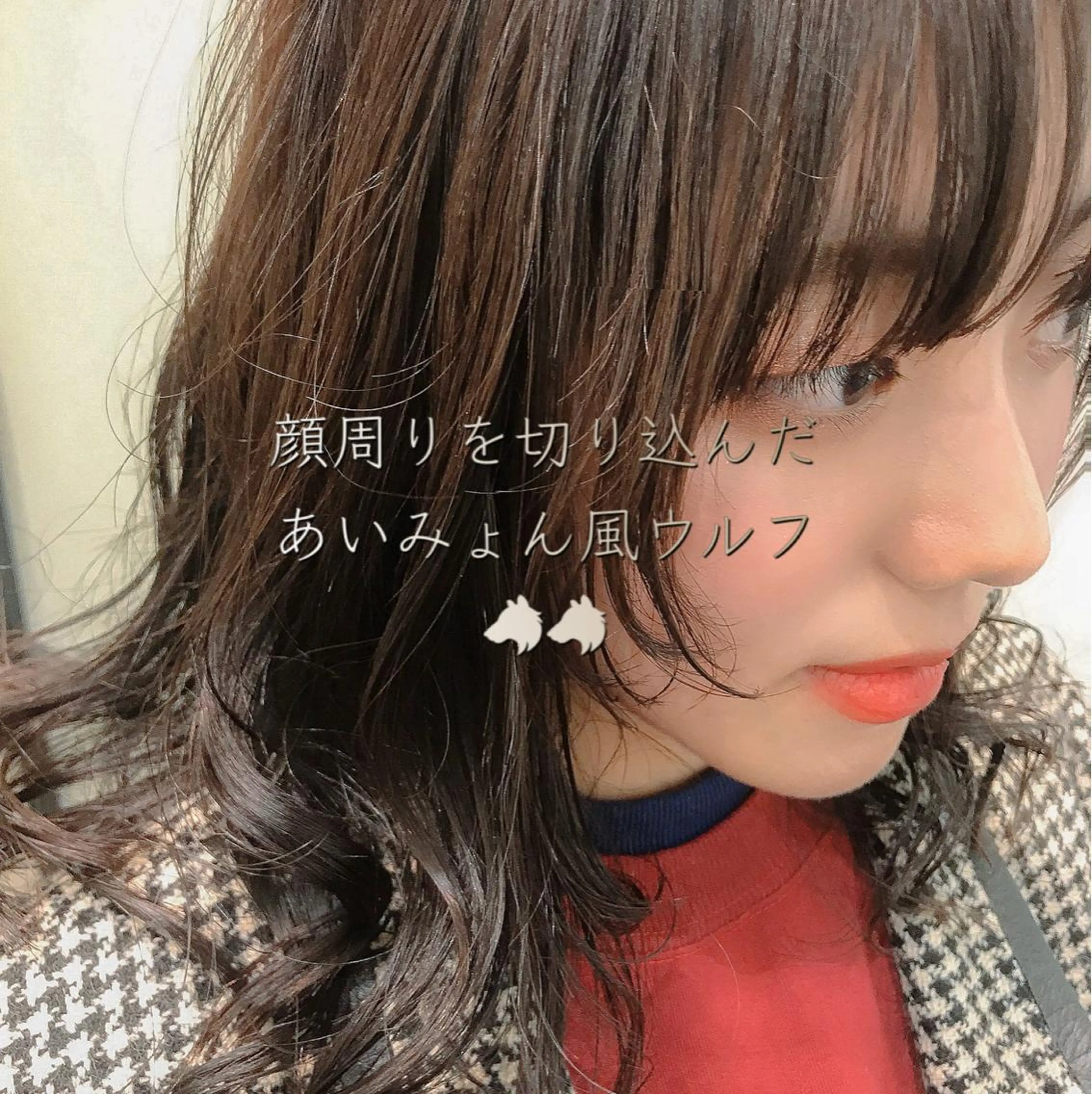 ミディアム ミディアムパーマ ウルフカット 丹羽 駿太のヘアスタイル