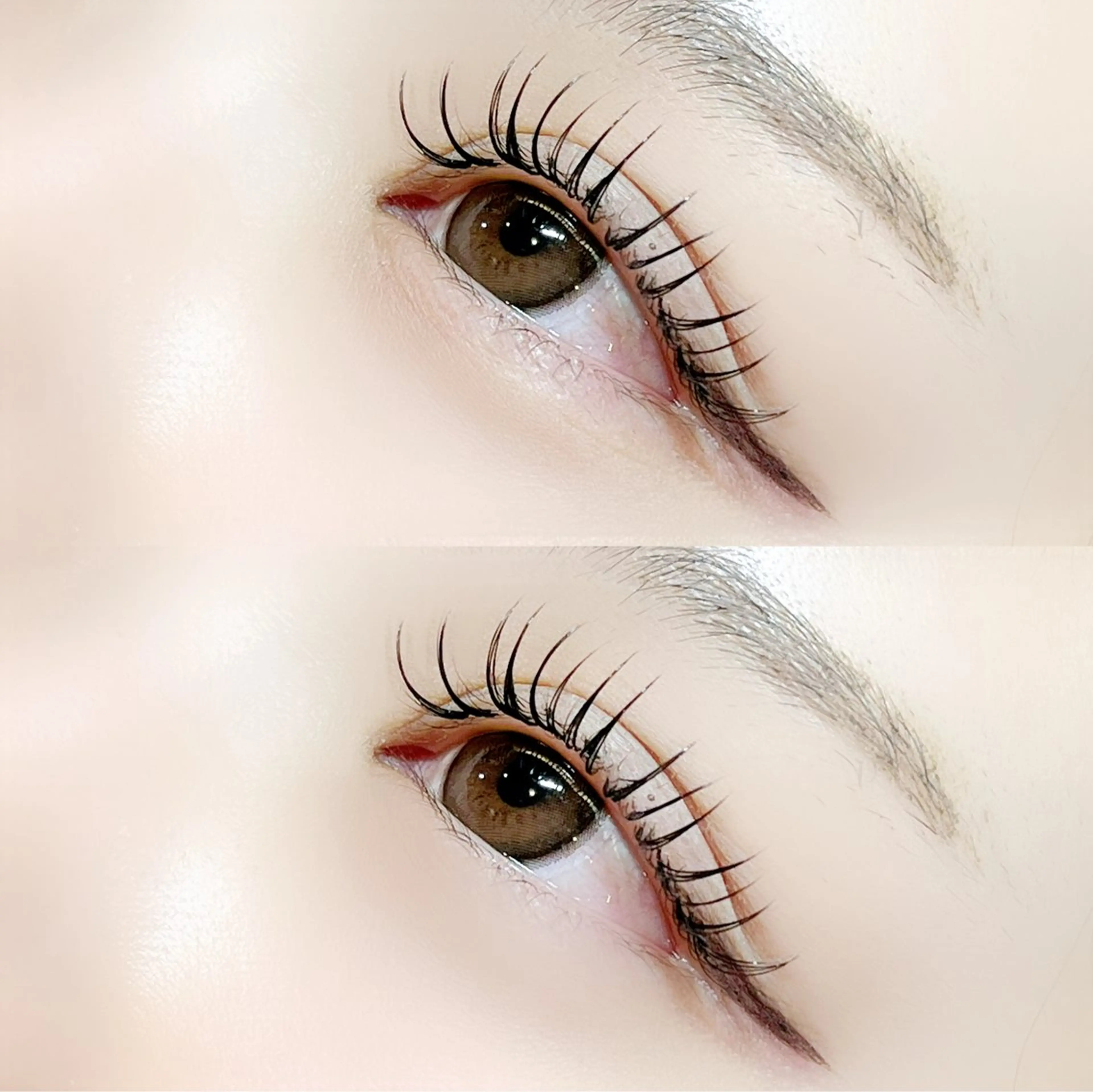 ⟡.·高持続⟡.·バインドロック 60束 〈シングル約120本目安〉仕上げコーティング付き✨💕  初回オフ無料🫧の写真