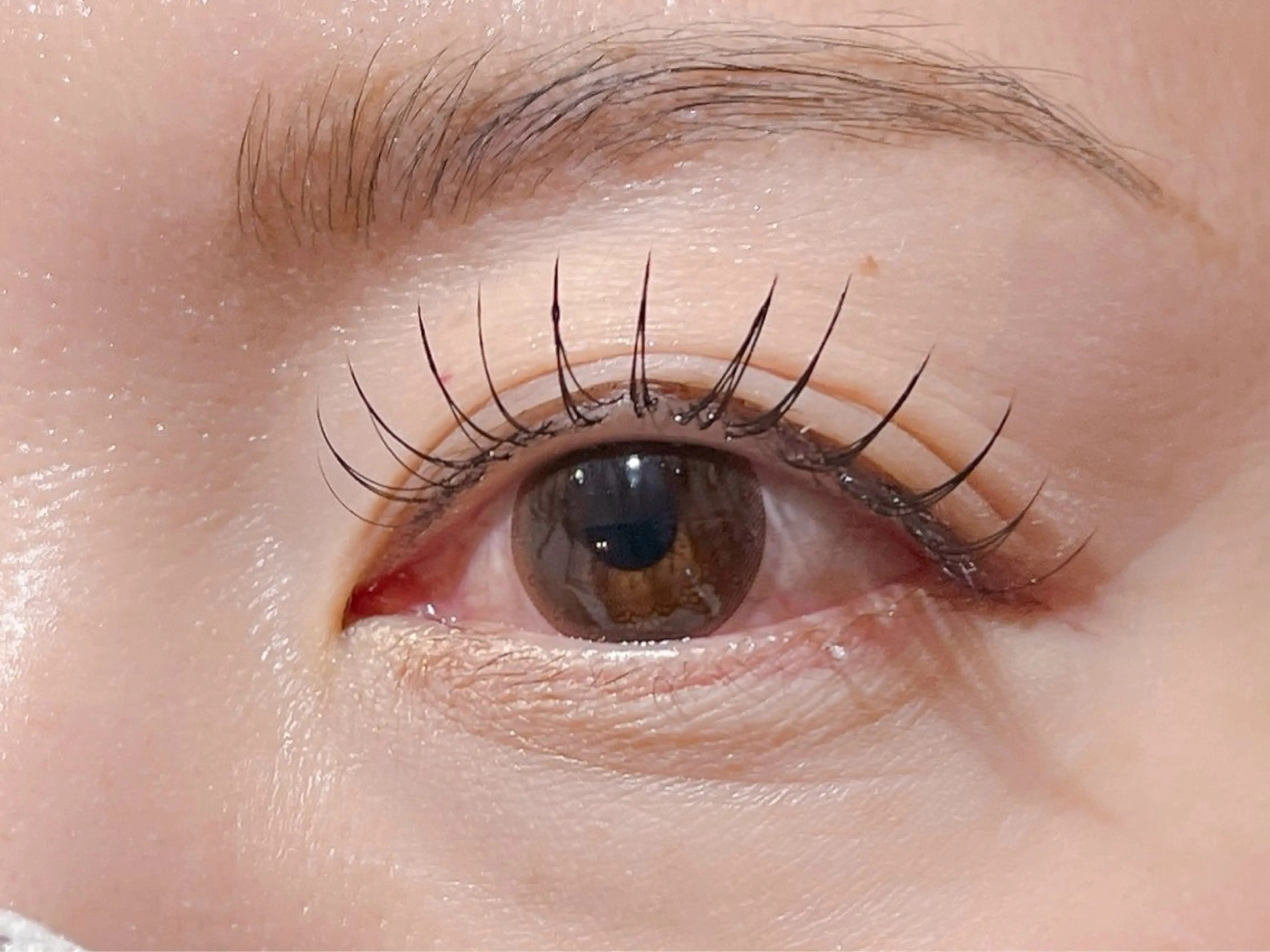 バインドロック60束(トリートメント、コーティング込み)の写真