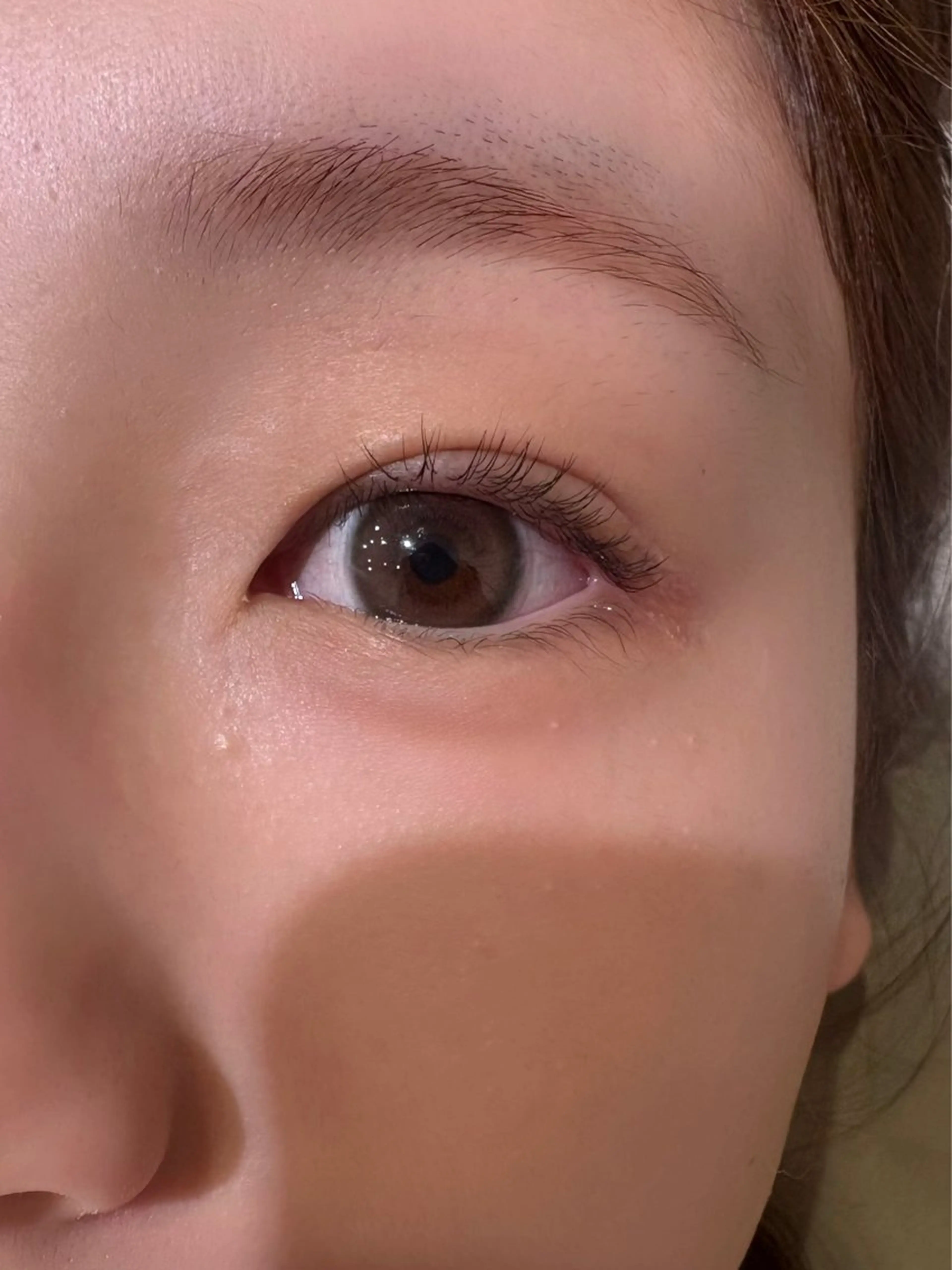 Jrアイリスト限定価格　上マツパの写真