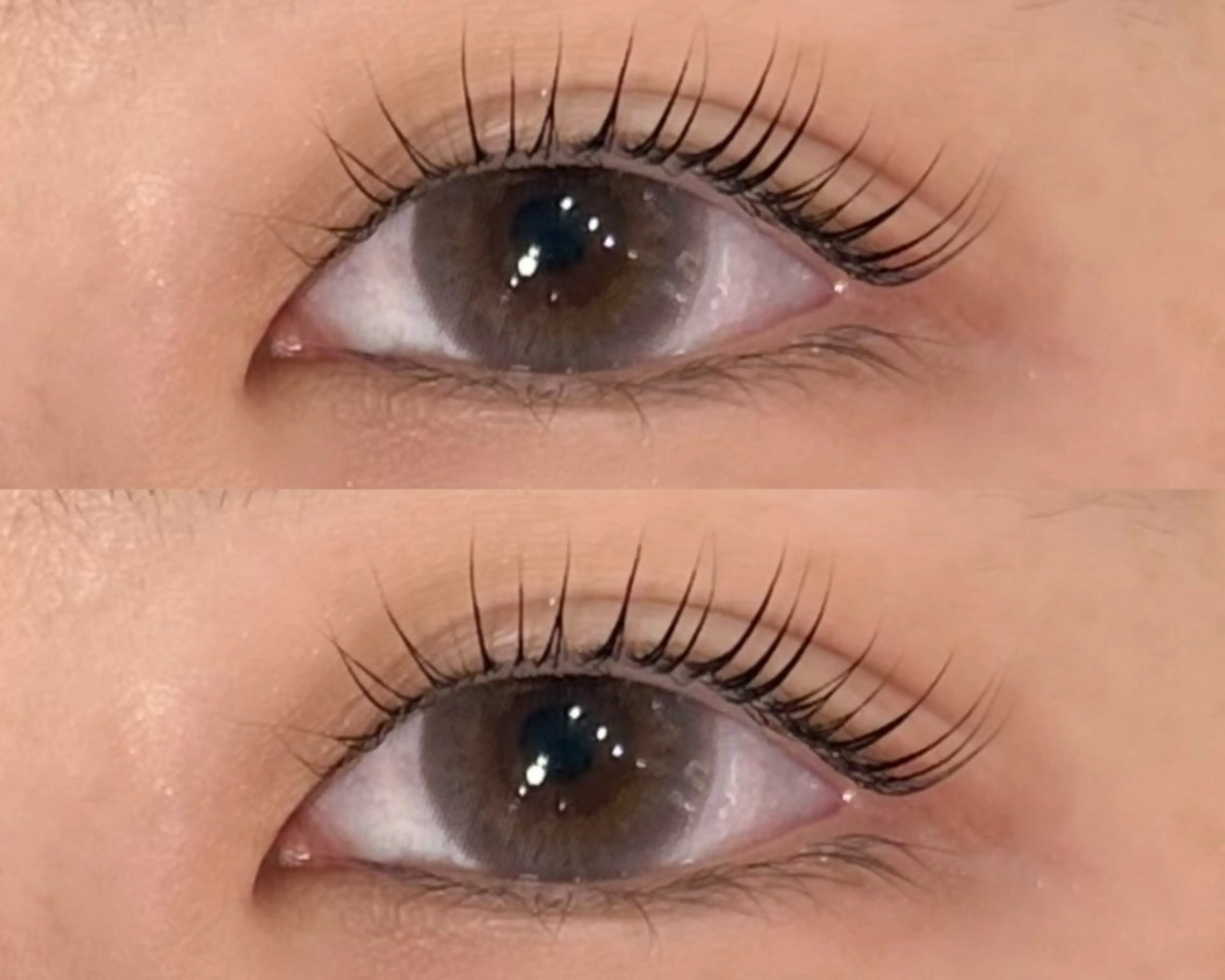 マツエク・マツパ ケラチンラッシュリフト マツパ eyelist ERINA〜.。🧸のマツエク・マツパデザイン