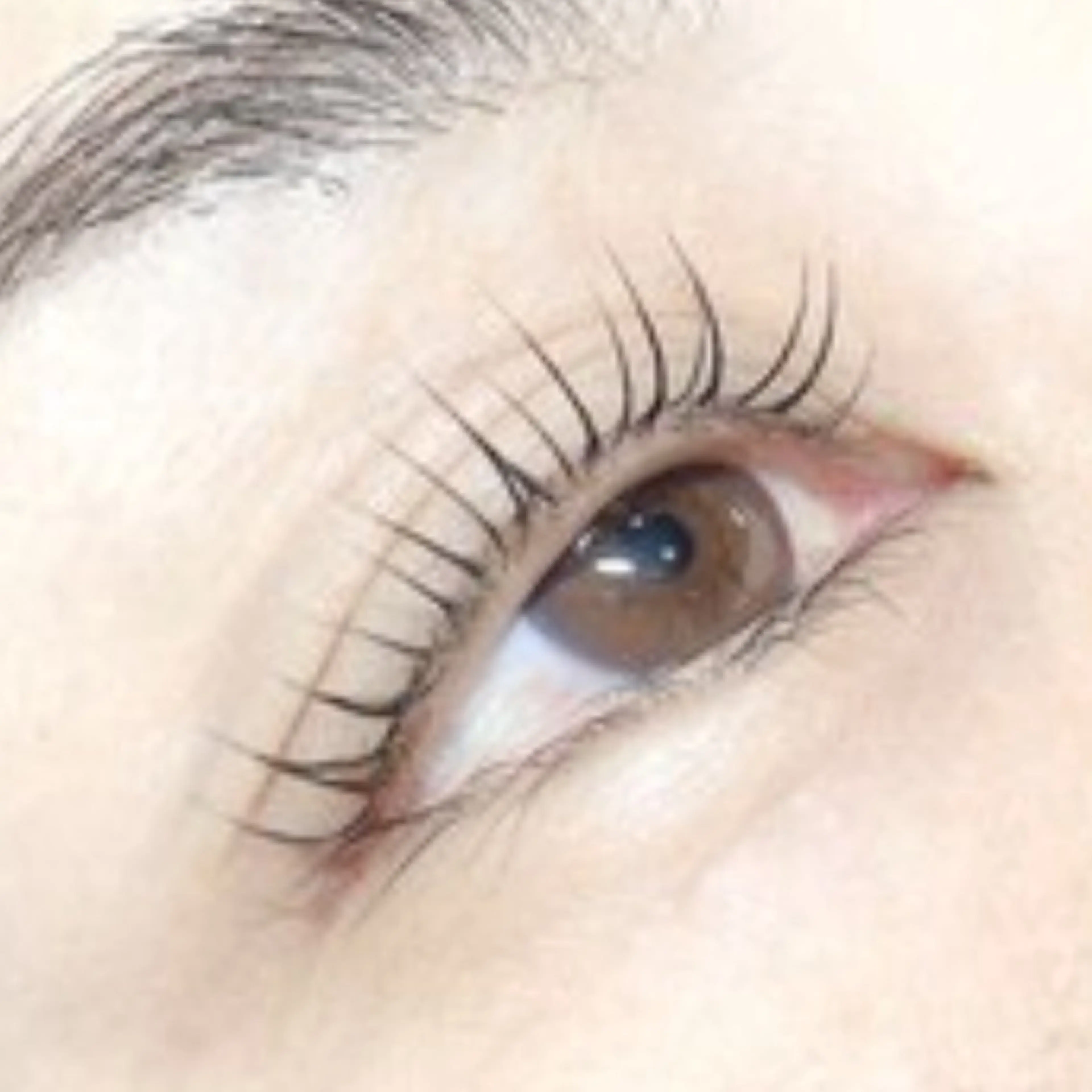 トリートメントカール(上のみ)の写真