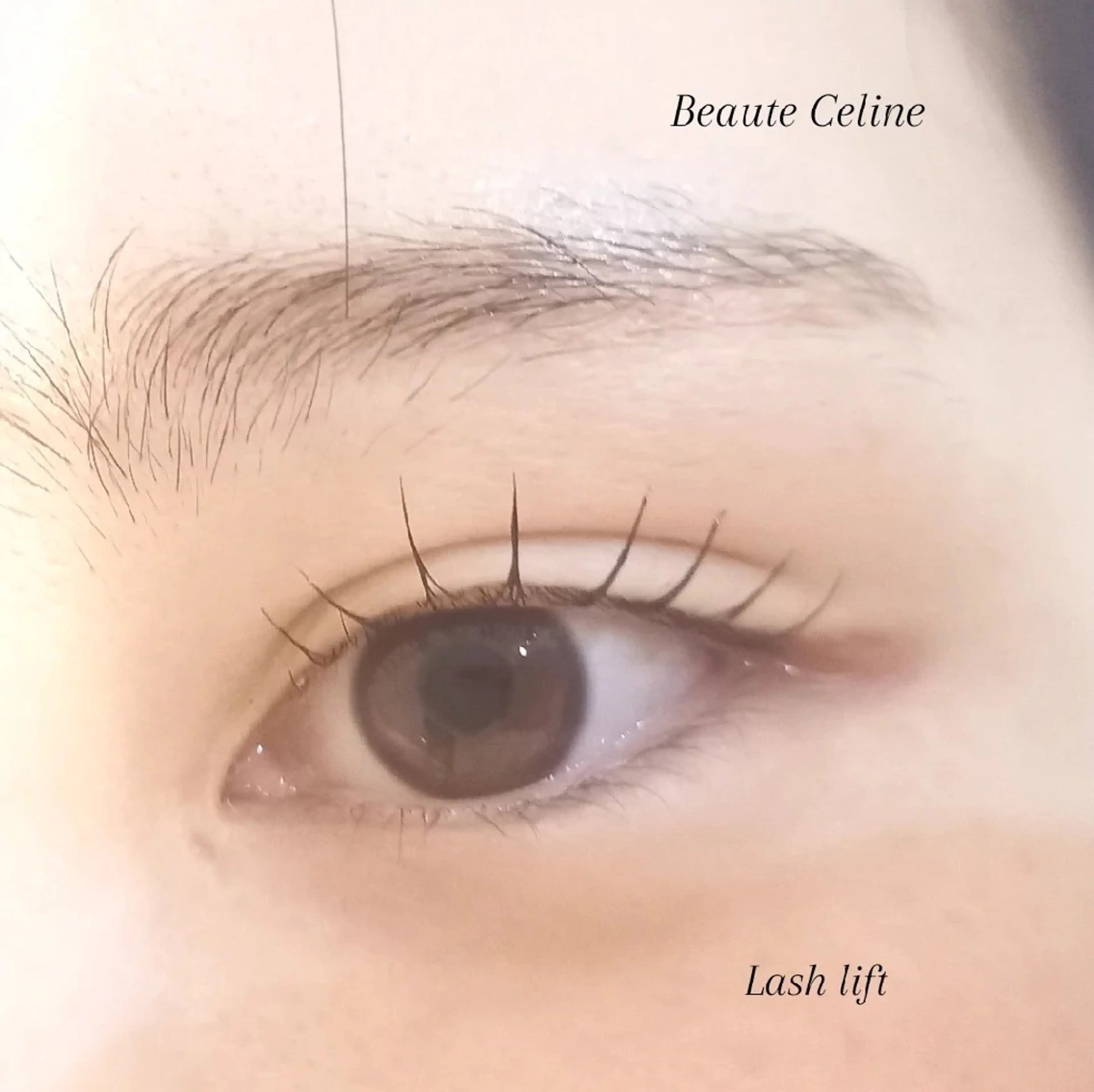 マツエク・マツパ マツパ beaute.celine所属・&healthy💜 ﾎﾞｰﾃCelineのマツエク・マツパデザイン