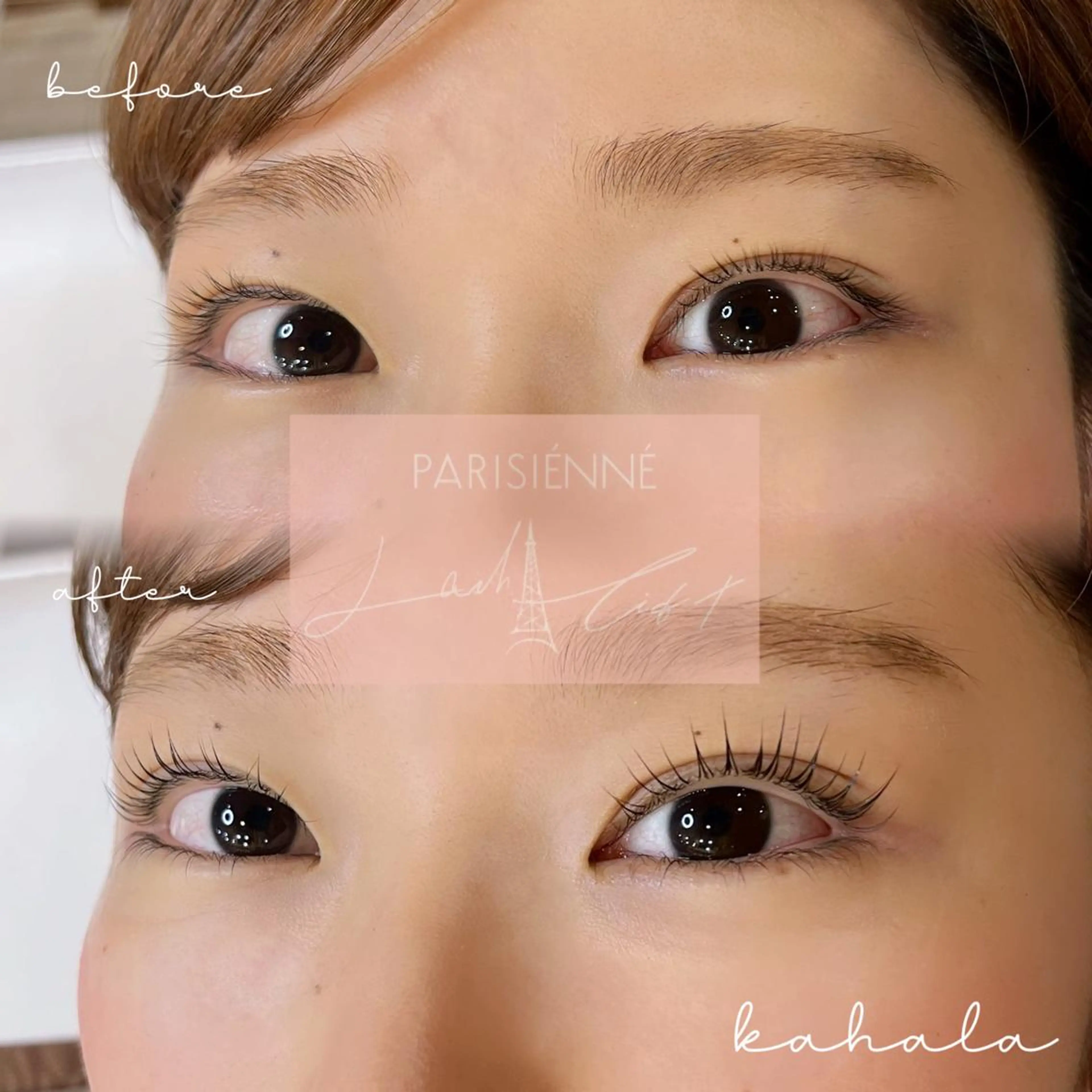 マツエク・マツパ Fujimoto 🦭⸝⋆꙳のマツエク・マツパデザイン