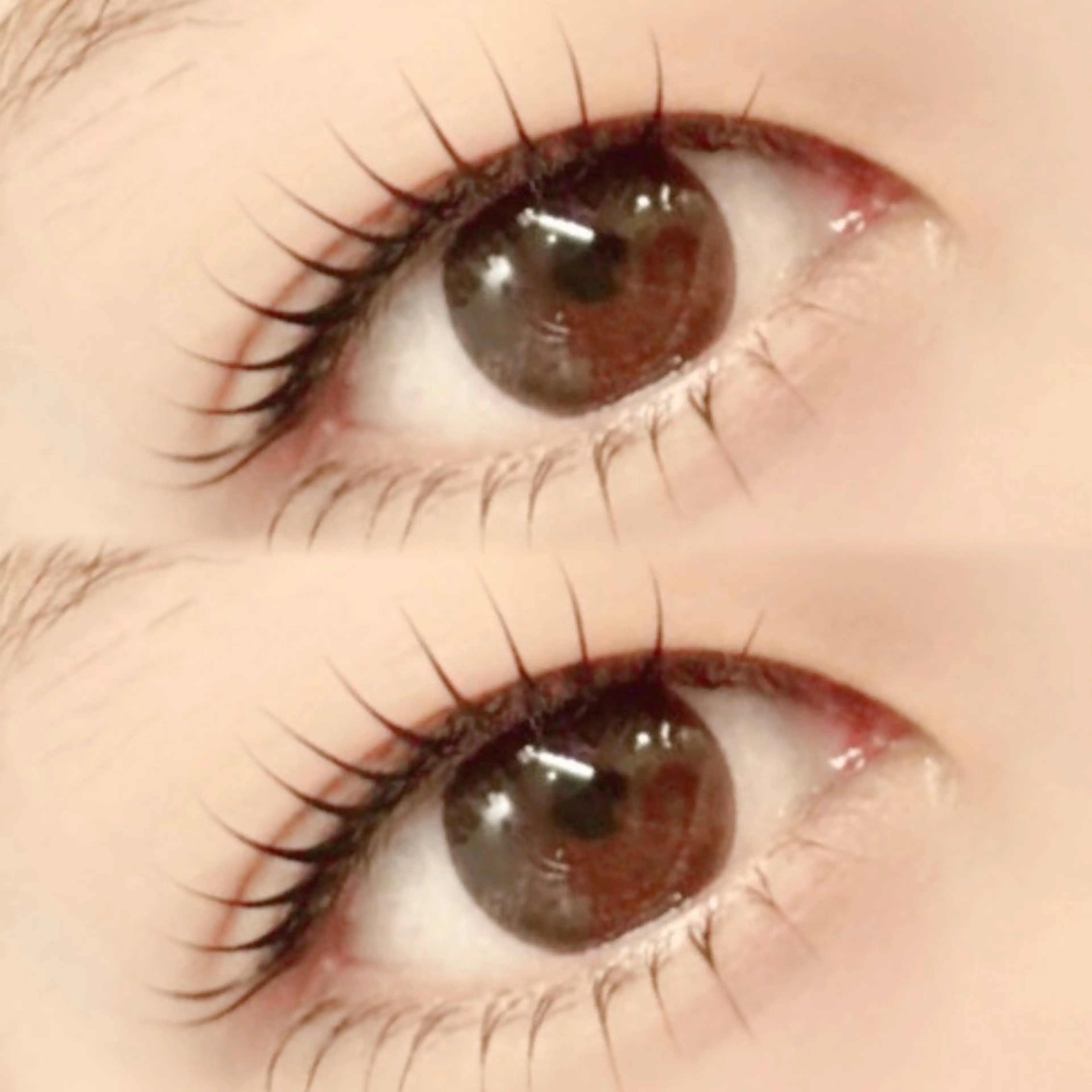 【再来の方♪】ラッシュリフト上下（パリジェンヌもOK）🌷トリートメント＆アイパック付き🌷の写真