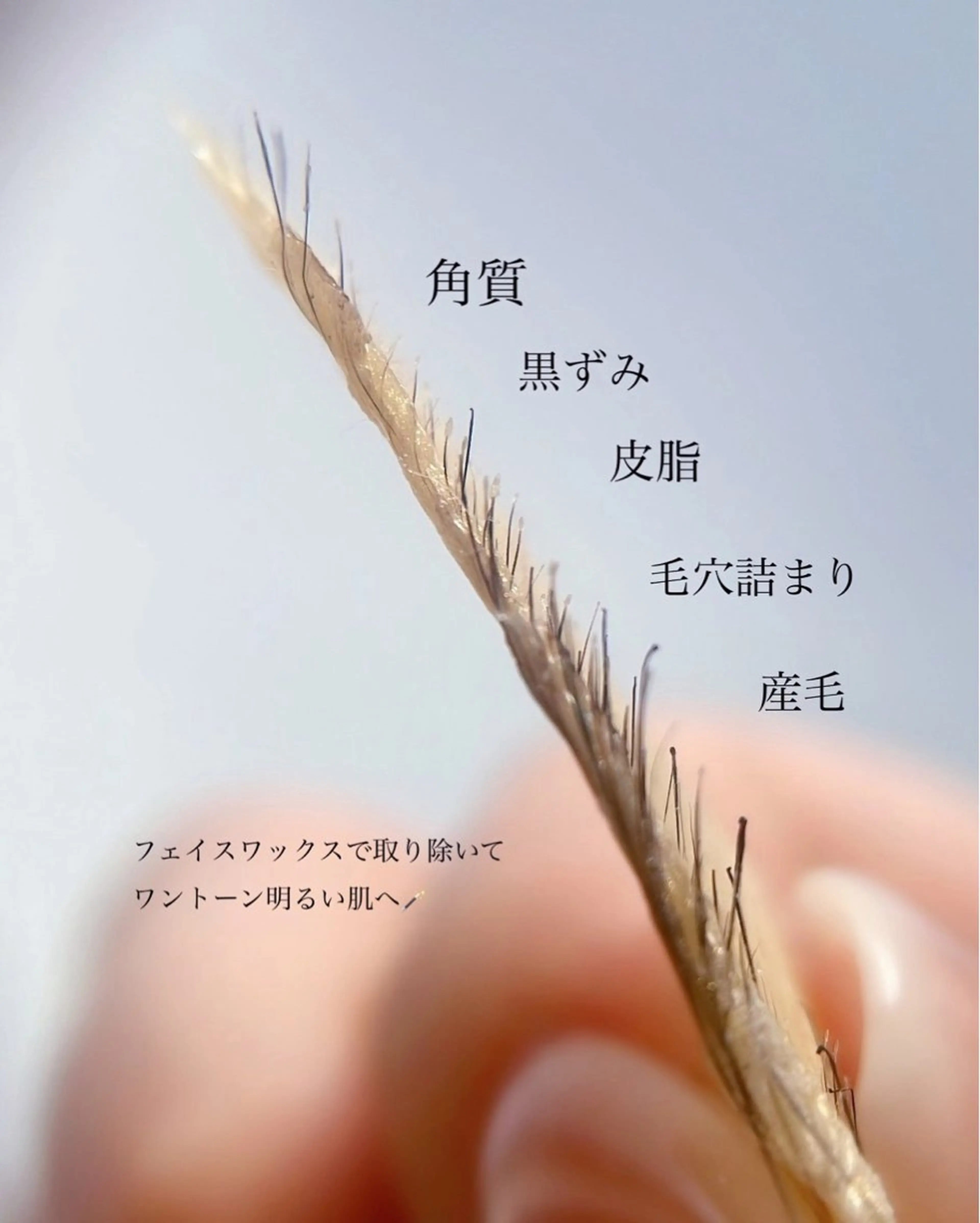 肌が綺麗になるフェイスwax ハイドロジェリーマスク付きの写真