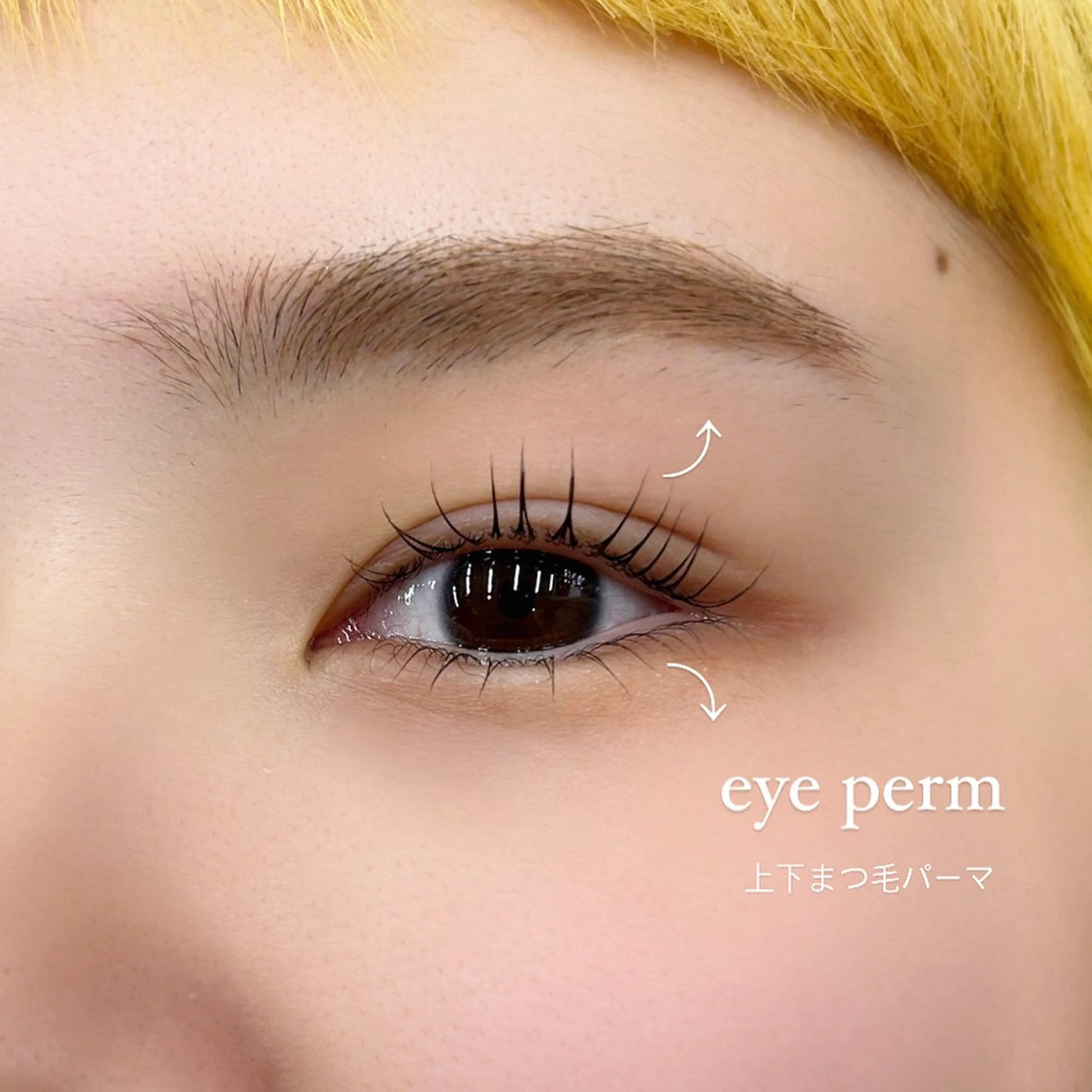 マツエク・マツパ pia/リサコ ボブ/縮毛のヘアスタイル