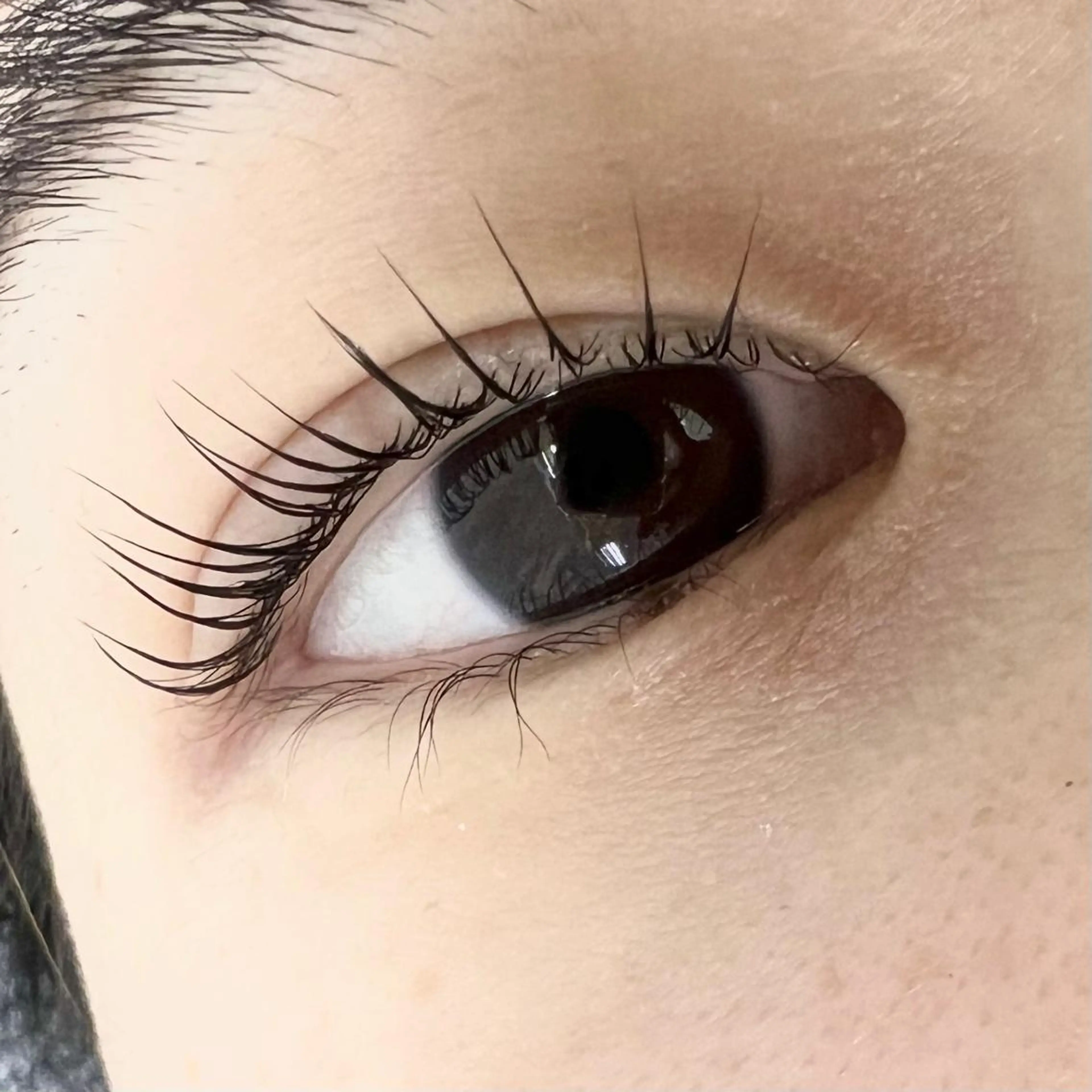 マツエク・マツパ 伊藤 becky lashのマツエク・マツパデザイン