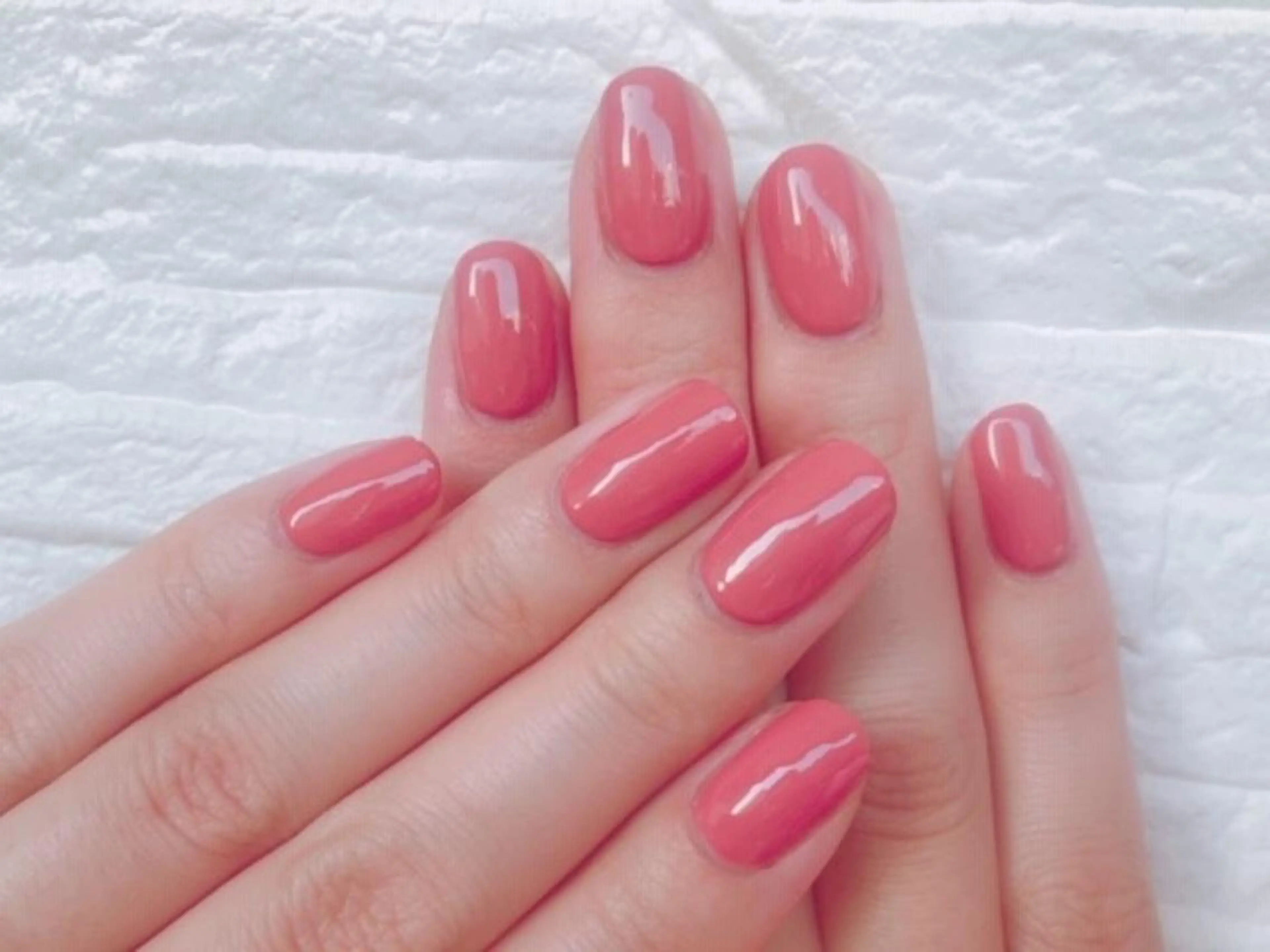 【12/5 16:00限定】オフ込みワンカラー練習モデル募集💅オフはソフトジェル限定・ハード、スカルプ不可🙌🏻の写真