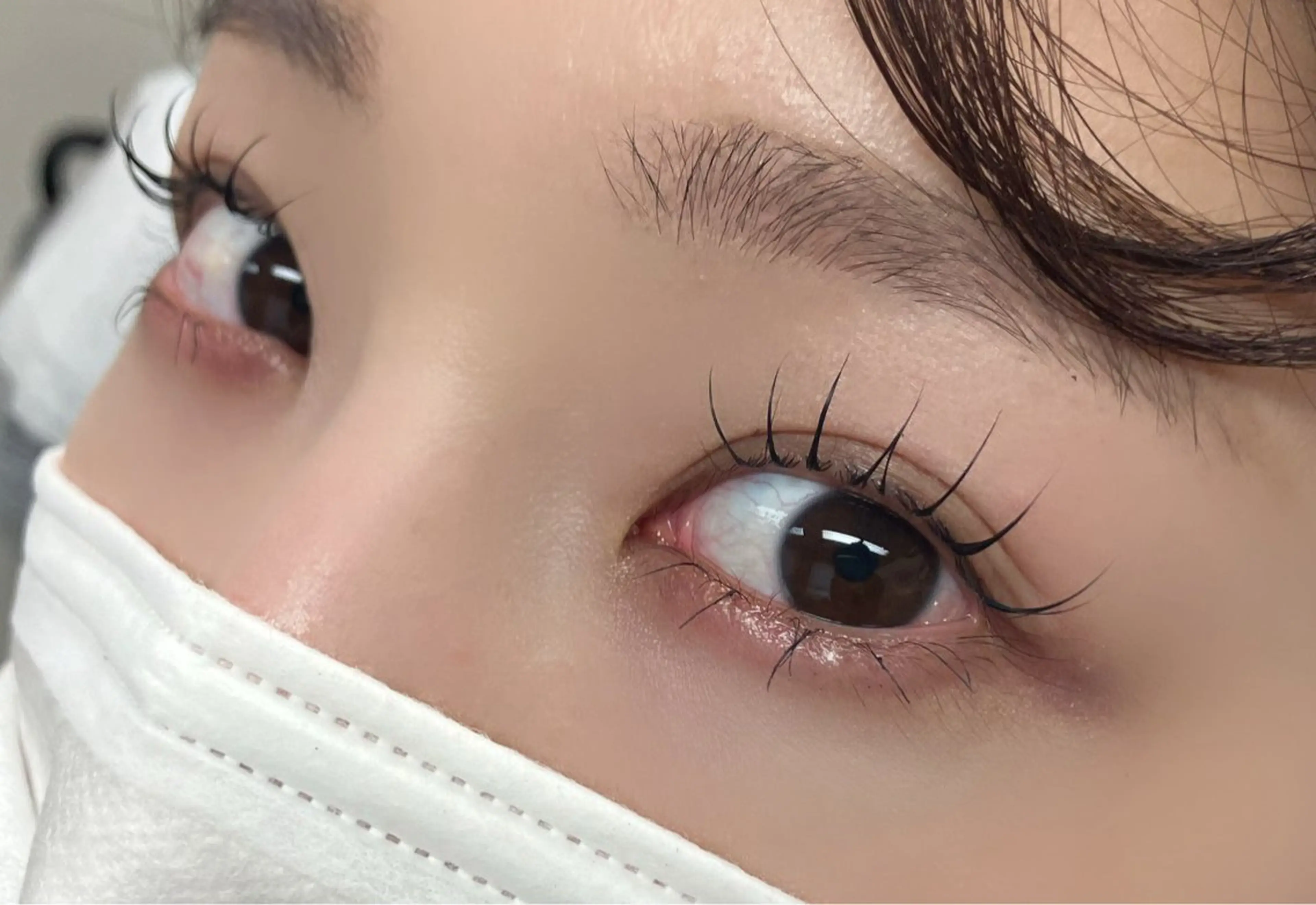 急募‼ 無料🆓🧸【7/30】🪽まつげエクステモデル募集✨🪽の写真