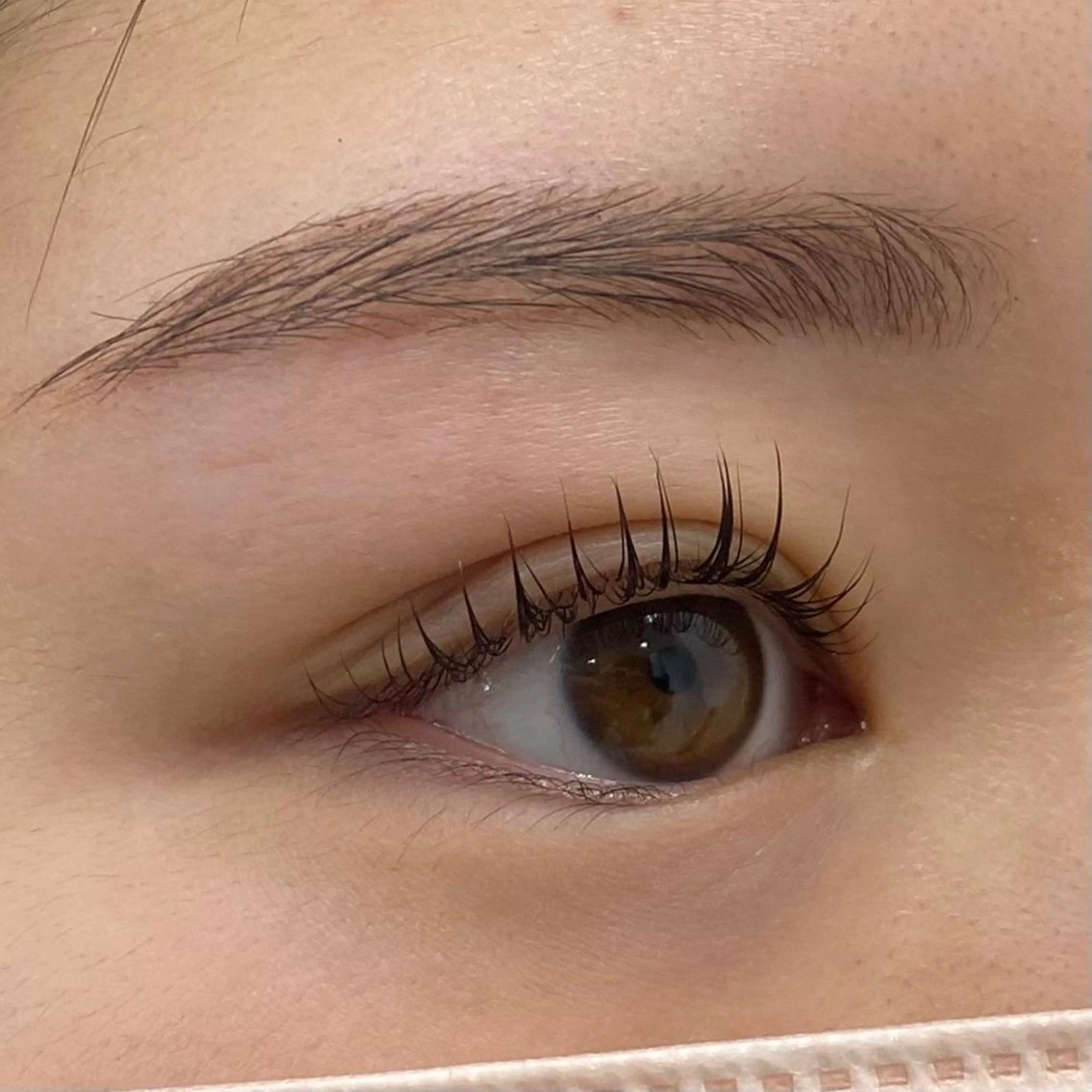 マツエク・マツパ HAYASAKA 韓国風/束感/パリのマツエク・マツパデザイン