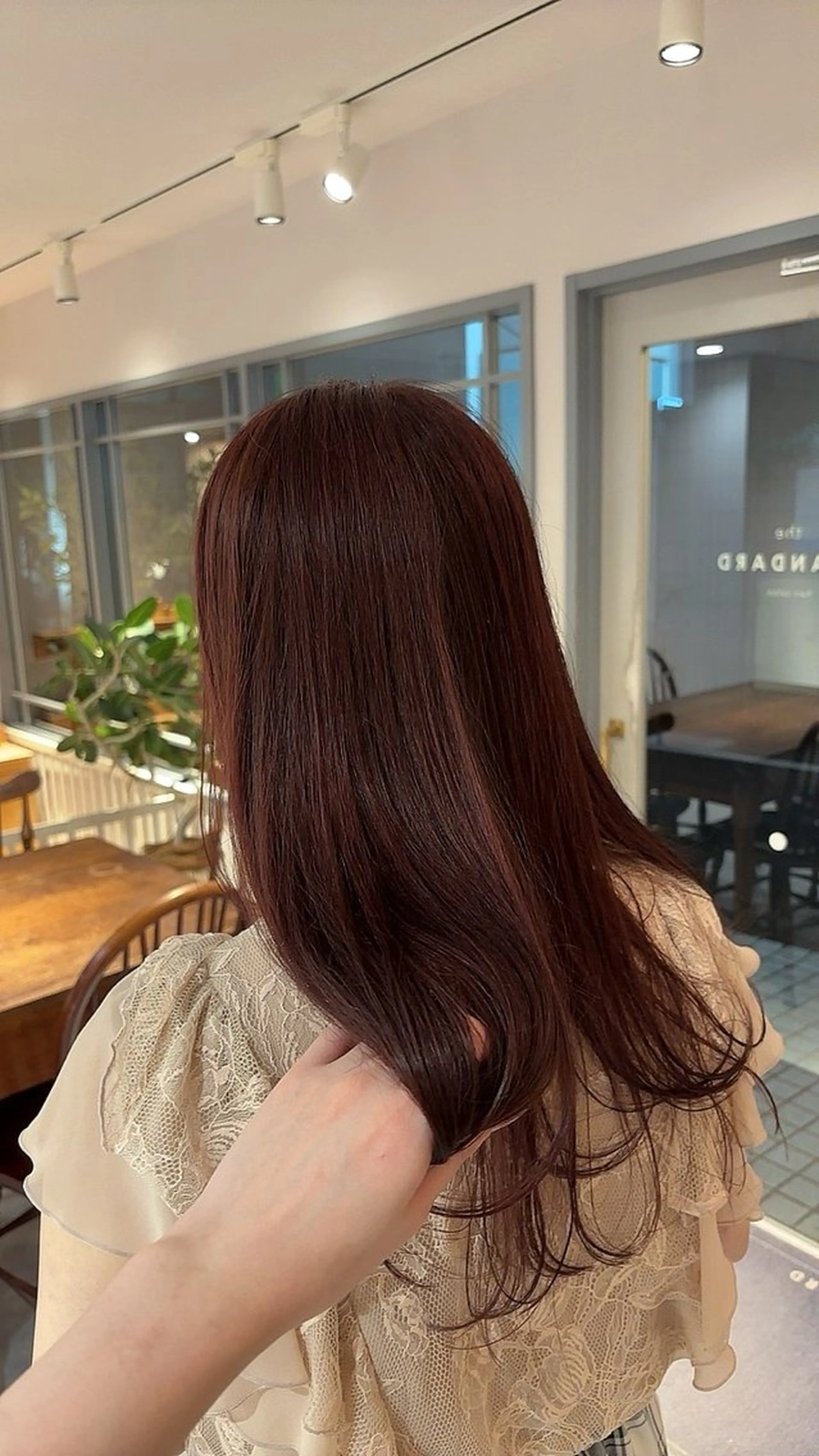 straight.の写真