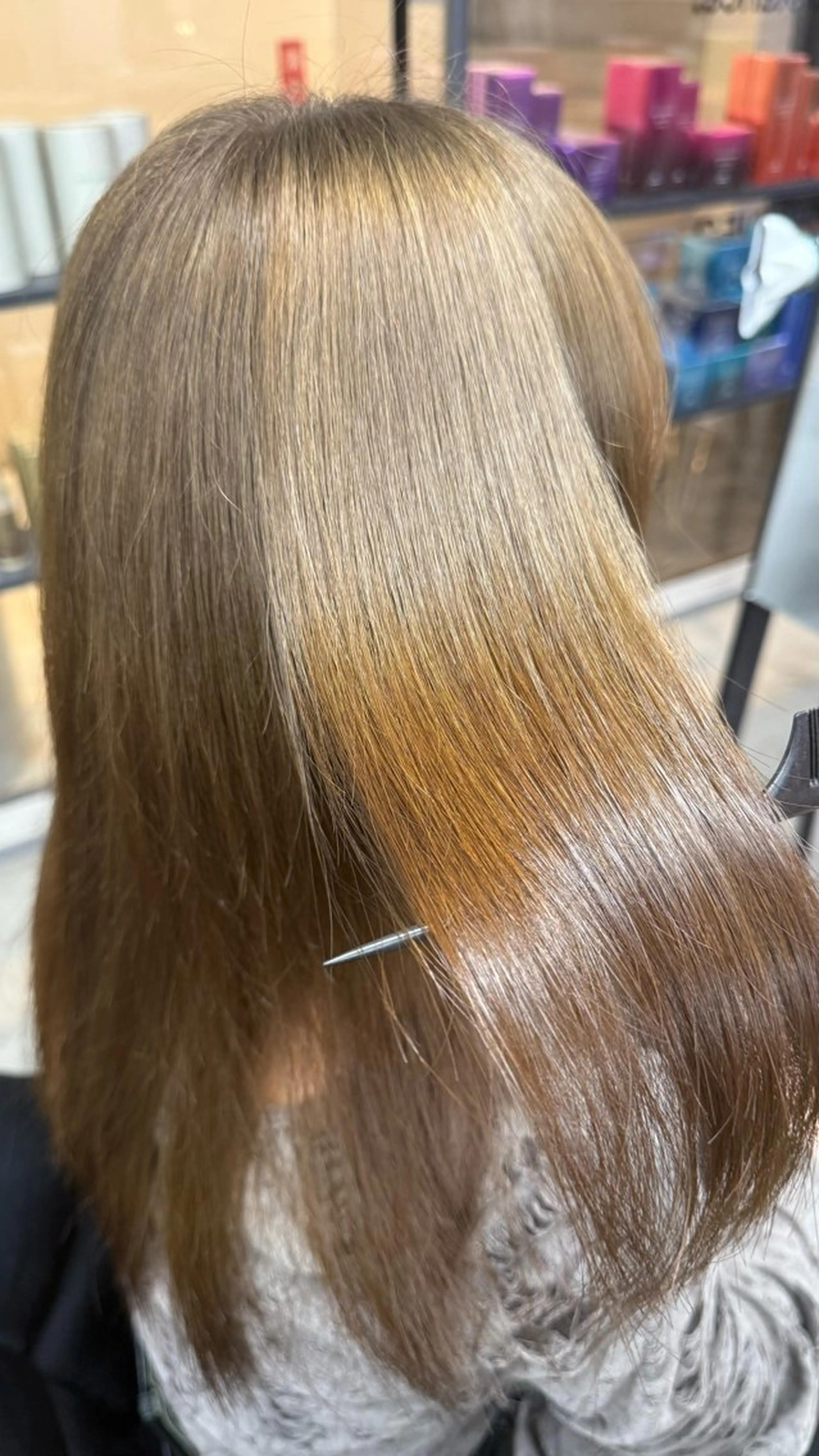 🍯【ハイトーンでも艶と最高の手触り】🌳🌈ブリーチカラー + 最艶 INBORN TREATMENT🌈の写真