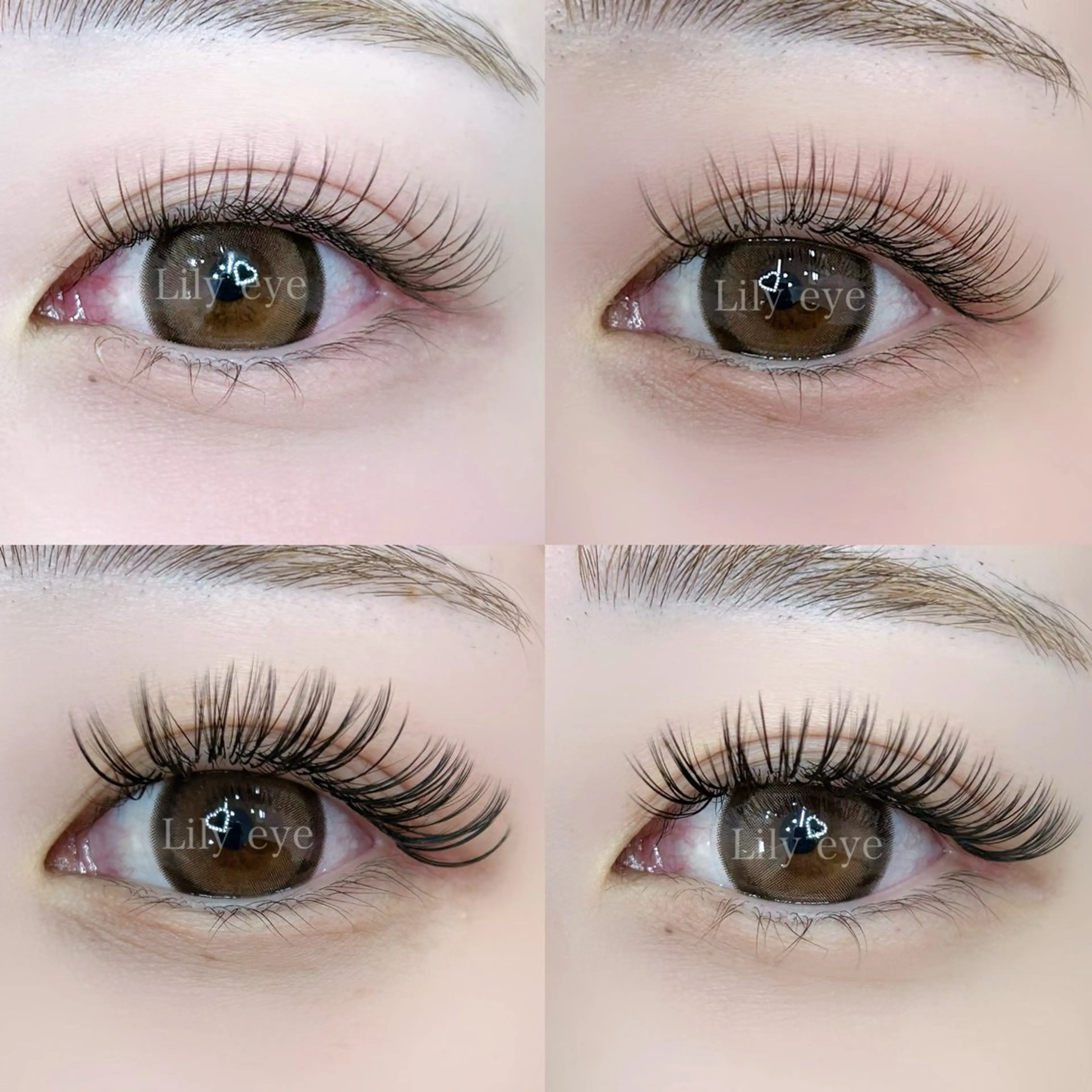 マツエク・マツパ まつ毛専門店 Lily eyeのマツエク・マツパデザイン