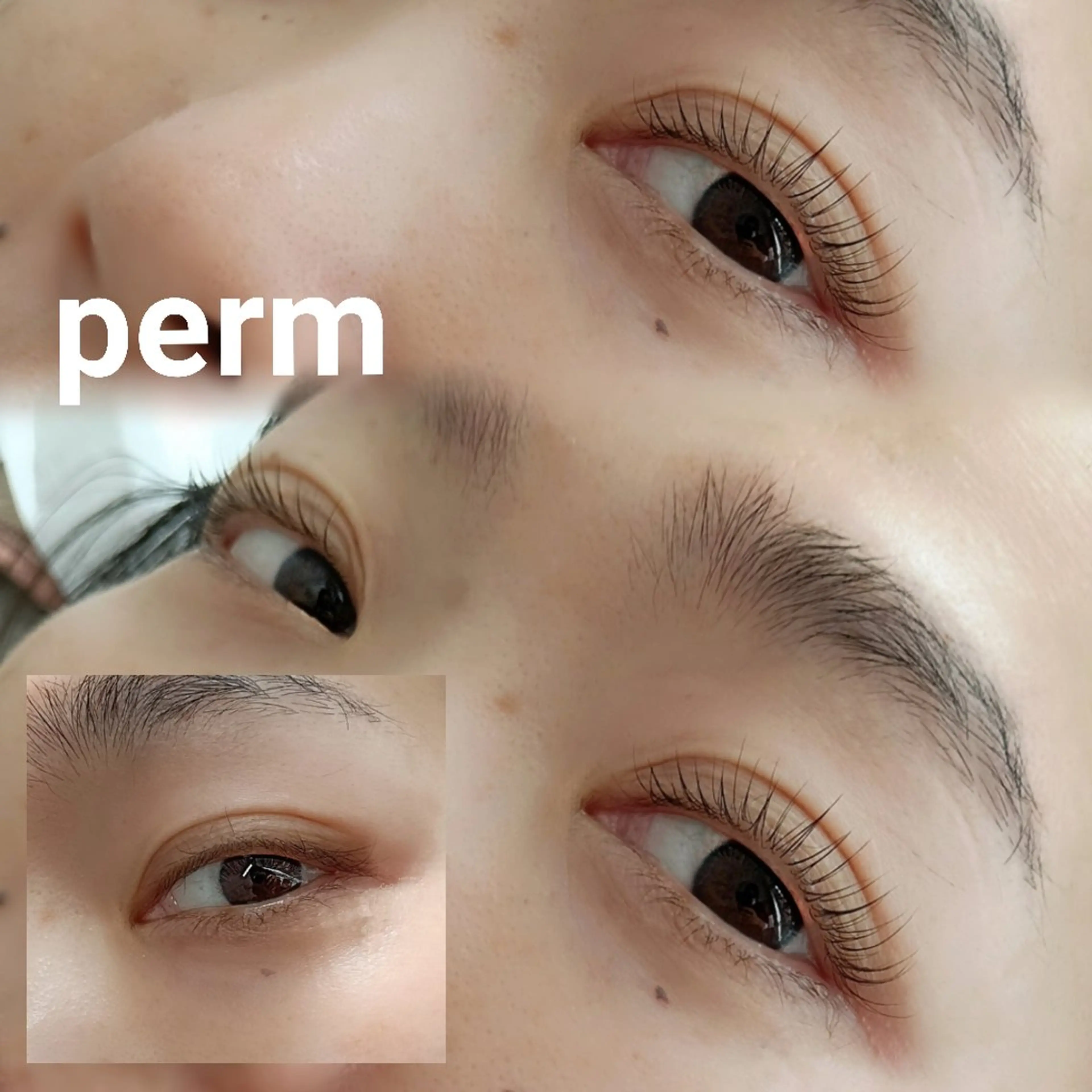 マツエク・マツパ Viola まつ毛と眉毛の専門店のマツエク・マツパデザイン