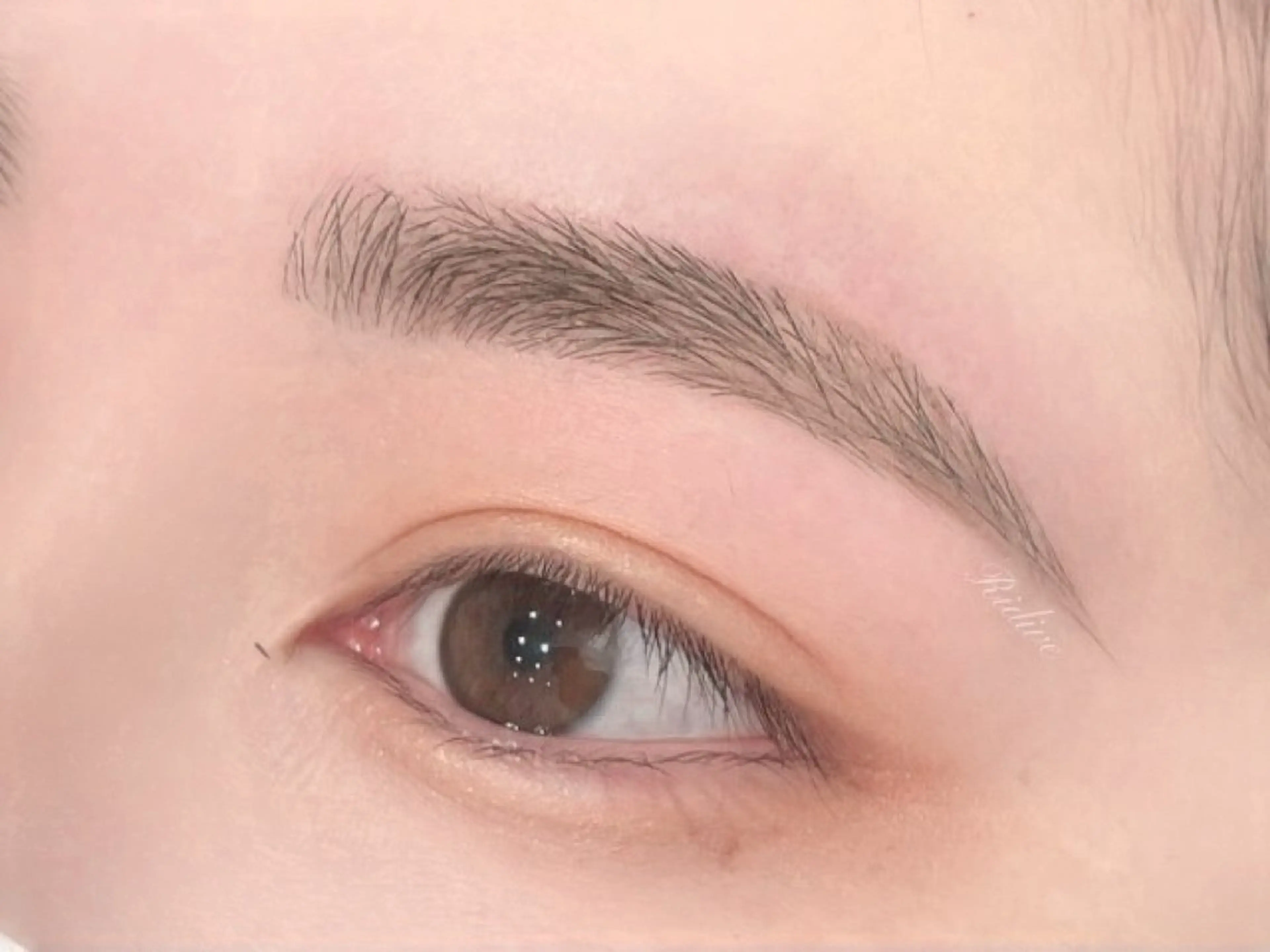 アイブロウ Ridive Ayaの眉毛・アイブロウイメージ