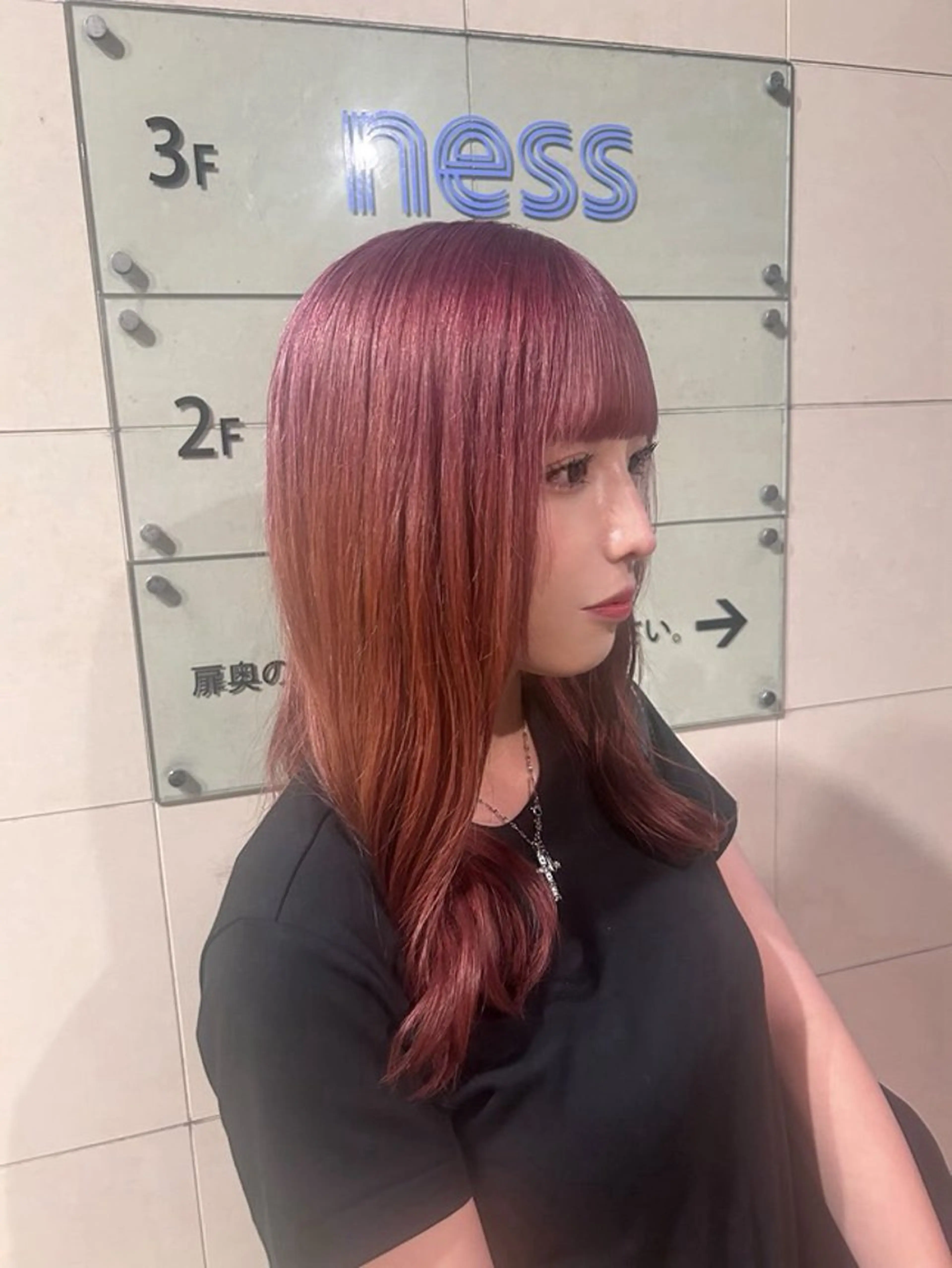 セミロング カラー 🪩🐬ness / ルリ🧿🍓のヘアスタイル