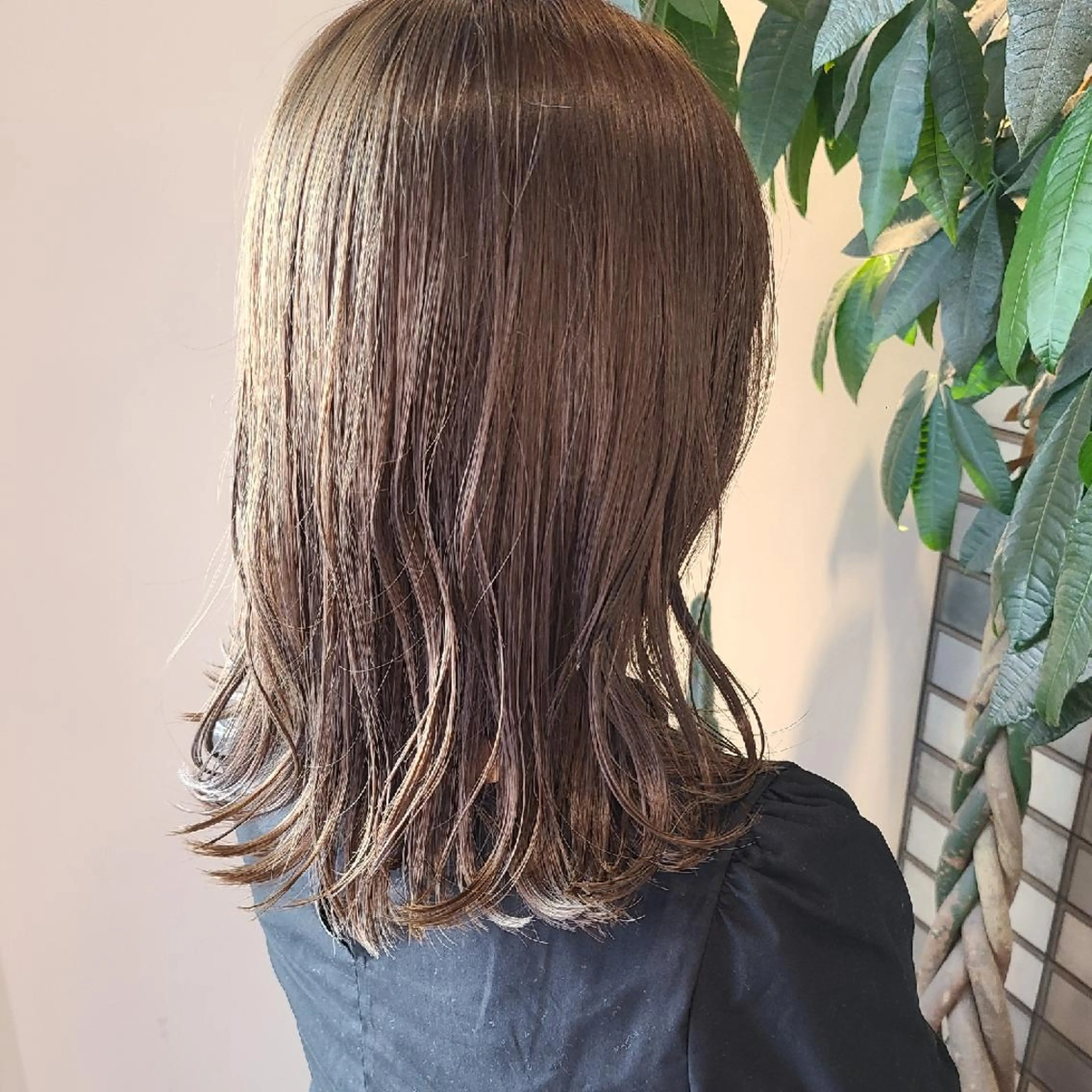 ミディアム アッシュ アッシュグレー カット ヘアカラー トリートメント カヤノ ミサキ𓇼𓆉 のヘアスタイル