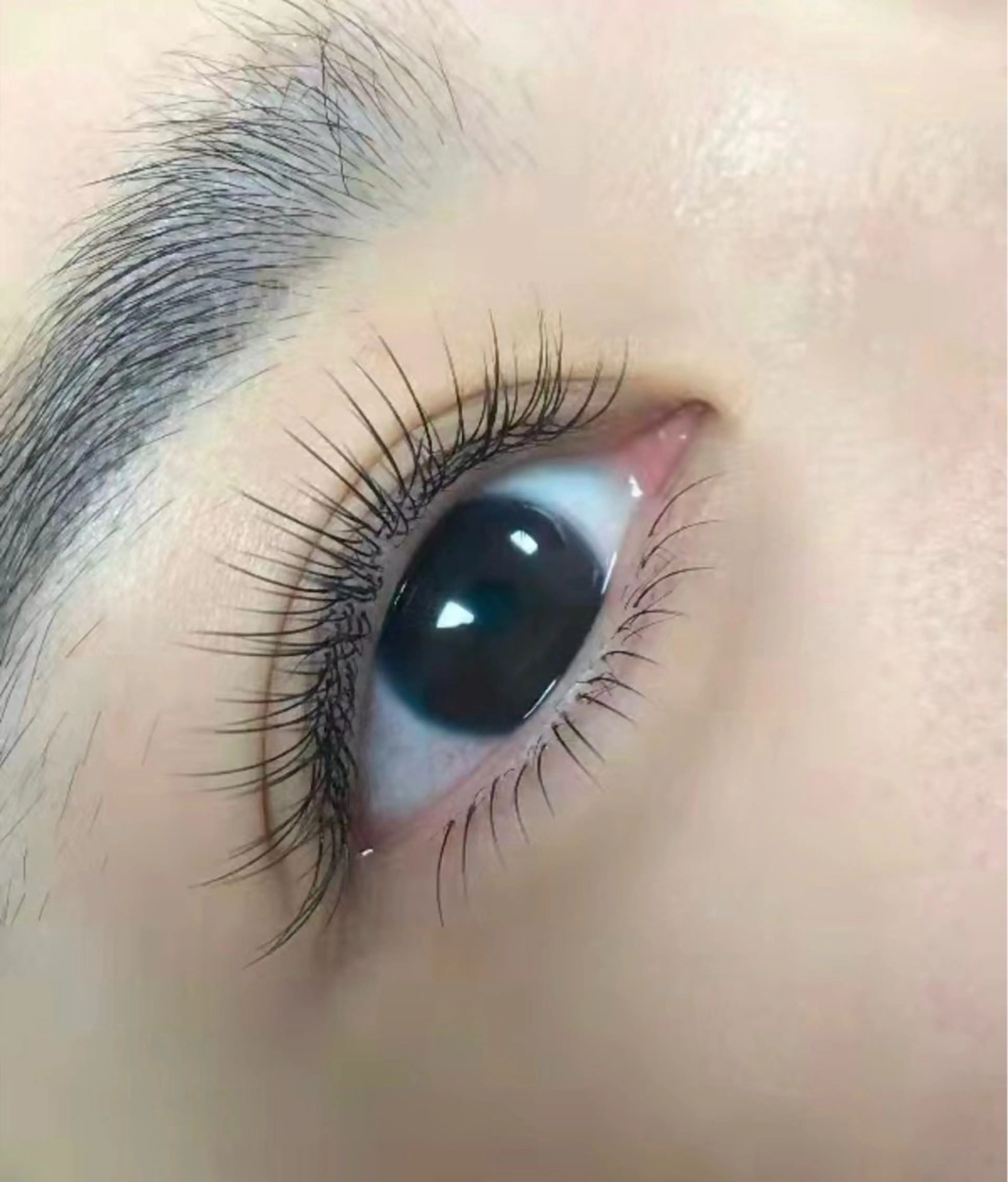 フッラトラッシュ120本🍀モデルさん募集の写真